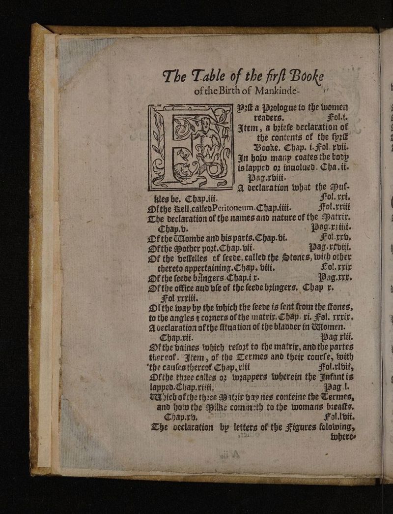 The Table of the firfl Booke oftheBirthof Mankinde- = ] 3820 a Wzologue to the twonici JH — readers. Fol.t. mil Been, a batefe declaration of : the contents cf the tp2tt ORF a, WGooke. Chap. t.Fol. rvii- Pe Zt holy manip coates the bodp RATA) | tslapped o2 inuolaed. Cba.it. <— | Pagrbiit- ————= oetlaration what the suf- _ Fol.rrt, Chap.b. pag.ryitit. MF the Combe and bis parts. Chap. vi. Foi.rro, Df the Bother port. Chap. bit. ag revit. DF the bellelles vf fecde, called the Stones, with other thereto appertaining. Chap. bit. Kol. rrir DE theleede bringers.Chap.ir. Pag.rre. DF the office aud ble of the feede byingers, Chap r. Fol revit. : Dl the way by the which the leeve ts fent from the ones, fo the angles € comers of the matriy. Chap. ri. Fal. rrvir. Q veclaration of the fituation of the blabter tn Catomen. Chap.rit. pag riit. Df the vaines twhich refort fo fhe matrir, andthe partes thereof. Ytem, of the @ermes and their conrfe, with the caules thereof Chap, ritt Fol.rlbii, Dthe three calles o2 ‘wrappers wherein the Yafantis lapped. Chap. rtitt. qaag.t. Ca pick of the three AM ifzir bay nes confeine the Cermes, and jowthe Wilke cometh to the womans biealks. Chap.ro, Fal. lit. Che veclavation by letters of the Figures folowing, Jai oe toberee —— - a ee