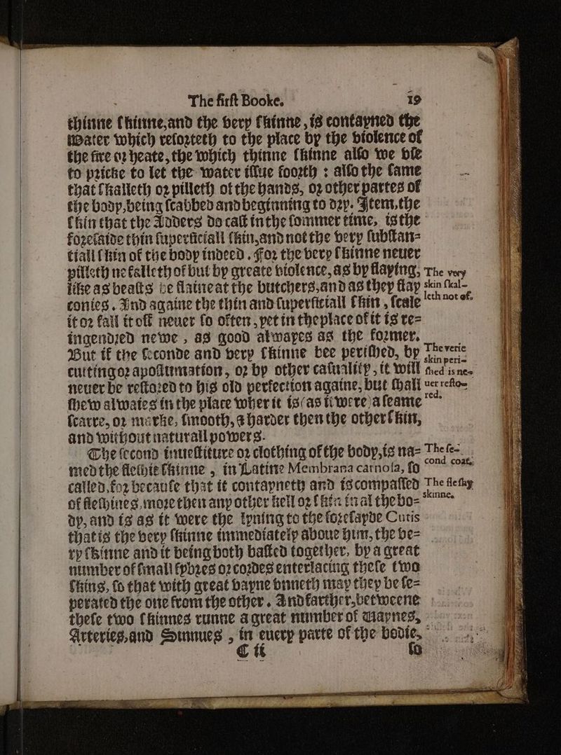 The firft Boke. is ehiitne Chimtte,and the berp Catine , 18 contapned the Pater which reforteth to the place by the biolerce of the fire or heate,the which thinne (kinne alfo we bie to pricke to tet the water tive foorth : alfothe tame that fhalleth o2 pilleth ot the bands, 02 other partes of the boop being fcabbed andbeatunitg to dy. Ftent.the Chinehat the Loaders docalk inthe fommer time, isthe fo2refaide thin fuperticiall {hin,and not the bevy fubtan- tiall (fin of cue bodp indeed. Foz the bery (hinne never piticth ne falleth of but by greate biolence, as by laying, the vey fike aS beatts be flatneat the butchers.and as they flay sig” conics. Und sqaine the thin and{uperfictall Chit , fcale sami i¢o2 fall trot neuer fo often, pet in theplace of tt ts re= ingendied newe , a8 good atwaryes ag the former. But if the fcconde and berpy Chinne bee perithed, by Thevers cuitingez apodtmmation, o2 by other cafualtty, tt wil ted is nes neuer be reftaied to His old perfecto agatne, but Hall ve sfo~ fhew alwates it the place wher it i3/as tiwere afeame fcavre, or marke, tnooth, ¢harder then the other! fit, and without natural powers. The (ccond inuettiture 02 clothing of Che body, te na= es fest mepthe flethie (Rinne , in fLatitie Membrana carnola, fo Oe Pe callen,foz becaufe that tt contapnety and iscompatled The fety of flethines, moze thei any other fell og (atx fal thebo= ay, and fg as tt were the tpnitig to the foxefapbe Cutis thatis the becy frinne intmediatelp abou? Him, the be= ry thine and tt being both baked together, by a great number of fall fpb2es o2 cowdes enterlacing thefe two Ching, fo that with qreat bapne bineth imap they be fe= nerated the ote from the other. Andfartijcr,betmeene thefe two Chinnes runne agreat number of Ciapnes, - Arteries,and Smnues , ea parte of the a rm 4 0 ee ~ Sapa ici ~ Sra a aces RL a iN RP Rea oe Sat ae 2 Sane a kas “. De Abe Sy OE fs sf Ap Le Rg i Oe dha See ar Le ee SELEY ERR ia x < pra oer eee Se ie hg Seer gaa Pepe, eee = ay a en ee eee oot