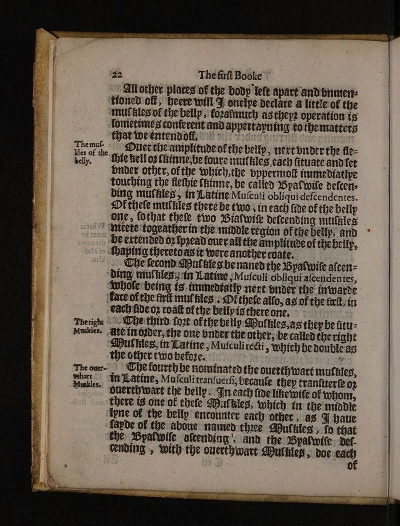 ~~ See SOR RAS Neh eheet tS wn Oe eae : igo The fitft Booke | AlVother places of the body tere apart and srmen: toned of, beere will % onelpe declare a little of the mulhles of the belly, fozatnuch asthep2 operation ts Aometiumes conferent and appertapning to thematters ‘that weentendofi,’ so vocee eo hemul -Duerthe amplitudeo’ the bellp, nercbnder the fle- belly, Ee tell o2 Hitne,be foure muthles, cach fituate andfet : buder other, ofthe which,the oppermott tmmediative touching the flethie thinne, be called Wpalwile defcers bing muthles, in Latiie Mulcati obliquidefcendentes. Oi thele mules there be two in each fire of the bellp Ofte, fOthat thee two Bialwite Defcending mulkles / Meete togeatherin the middie tegion of the belly, and --Deertended 0 fpeead ouer ait the ampiitude of thebcily, ‘haping theretoastt were another coate, - Che fecond Mut sles be naned the Byatwile alfcen- ‘Ding mufiles yin Latine ;Mufcoli Obliqui afcendentes, hole being fs. munedtatlp neve pnver the inwarte face of the fivt mul fies .-Di there atfo, as of the firlt, in each fide og coat of the belly is there one, : Theright °. Whe third tort ofthe belly Mutkhles.as they be Gtu- Moskies. Ate Libopder, the one bnder the other, be called the tight Duthles, tt Latine ) Mulculi cei > WHich be doubleas the other two befo2e. it , Theowr- Che fourth be nominated the suerth wart mufsies, ae ta Latine, Mufculitranfuerh; becanfe thep tranitrerfe o2 » Ouerthwart the belly: Jn each five tikewite of whom, there (3 one of thefe Wulhles, which tn the middle ipne of the belly encounter each other, as FJ haue fayde of the aboue named three Wulhles , fo that : the Bypatwife afcending’, and the Wyatwite Def. conding , with the ouerthwart Dutkhles., doe aad) | 0 ae eae aie Pew. peng Pe rate te aroreen atidt So Rea R ‘ # SOE a ht CPST