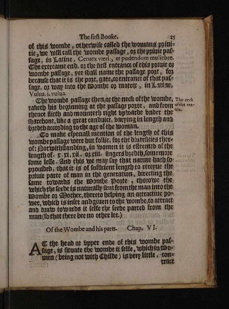 ThefirltBooke. a of this wombe , otheriwife called the womans p2tot= tie, we will call the wombe pallage; o2 the priute pat= fage, in Latine, Cerucx vierl., et pudendum muliebre. The ertreame end, 02 Che fir entrance of this p2tute o2 wombe patage, yee hall name the pallage poet, for becaule thatitis the port, gatesozentrarice of that pat= fage, of way into ¢be Wombe og matey, i Latte, Vulua.i. vulua > The wombe pallage thett,or thenteck ofthe worwtbe, The neck taketh bis beginning at the paflage poste, andfromt ofthe m- thence flicth andmounteth vight Hpwarde buder the fhavebone, like a gueat conDutct, harpitig tilengty and Hredthaccozding tothe age of the wontan, | ~ Go make efpectatl mention of the lengthy of this ‘Wombepallage were but folie, for the Dinertittes thers of: Notwithtanding, tt wonrers tt is el-ected of the fengthof- y.ri cit. -oprtit. Angers bzedth fone moze forte ielle. And chis. we neap fap that mative Hath (0: - provided, thattt ts of fulficient length to recopue the priuie parte of man in the generation, Directing the fame towards the weombe porte; thorowe the which the feede is naturally Cent fromebe mau tito the ueombe 02 WDother, thereto helping: art attvactiue po- wer, Which is infet anDagiver tothe wonrbe,to attract and dato tovoards it felfe the feede parted froms the ntan(fo that there bee 90 other tet.) A © the Head o2 bpper enoe of this wontbe pat. fage, is fituate the wombe it felfe, whichiniao- _ tern( being not with Childe ) ts bevy little 5: ee