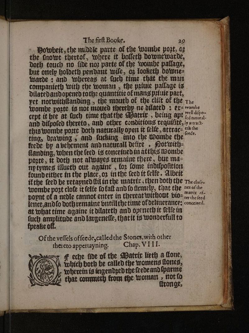 >. Powbeit, the middle parte of the Womrbe port, 02 the {nowt thereof, where tt bofleth Downewarde, Doth touch no {ide noz parte of the wombe pallage, but onelp holdeth pendant wile, o2 looketh Downe= Warde : and whereas at fuch time that the mar companieth with the woman , the priute paflage ts DilatedanDdopened tothe quantitic of mans prtule part, yet notwithitanding , the mouth of the cllit of the 1. wombe poste is not moued thereby nedilated : er= wombe cept it bee at fuch time thatthe DDatrir , being apt peda i and difpofed thereto, and other conditions requilite, ly atrac- this wombe poste Doth naturally oper tt (elle, attvac= shi ting, Deawing 5 and fucking into the Uombe the ~~ feede by abehement andnaturall Defire . Not with- landing, when the {eed ig conceinedin atthts ionrbe porte, tt Doth tot alwwayes remaine there, but ma- nytpmes ifucth out againe , foz fome tdtlpofition foundeither in the place, or inthe feed tt telfe. Albert ifthe feed be retapned Kil inthe matrte ; them 00th the The dor. wombe port clofe it {elfe fo fat and fo firmtelp, Chat the ves ofthe popnt of a nedle cannot enter in thereat without bio= ihc cea ientce,andfo Doth remaine brutillehe time of deltuerarces conceined. at what time againe itdilateth and openeth tt tele tr (uch amplitude and larqenefle, thatit 13 wonderfull to Of the veffels of feede,calledthe Stones, with other thereto appertayning. Chap. VITI. wie € eche fide of the Datrir iteth a ffone, Vee Wh wohich both be called the womens tones, \ 42854 J. Moberetn ts ingendzed the feedeandfparme LEEW chat comet from ehe womat Ha fo