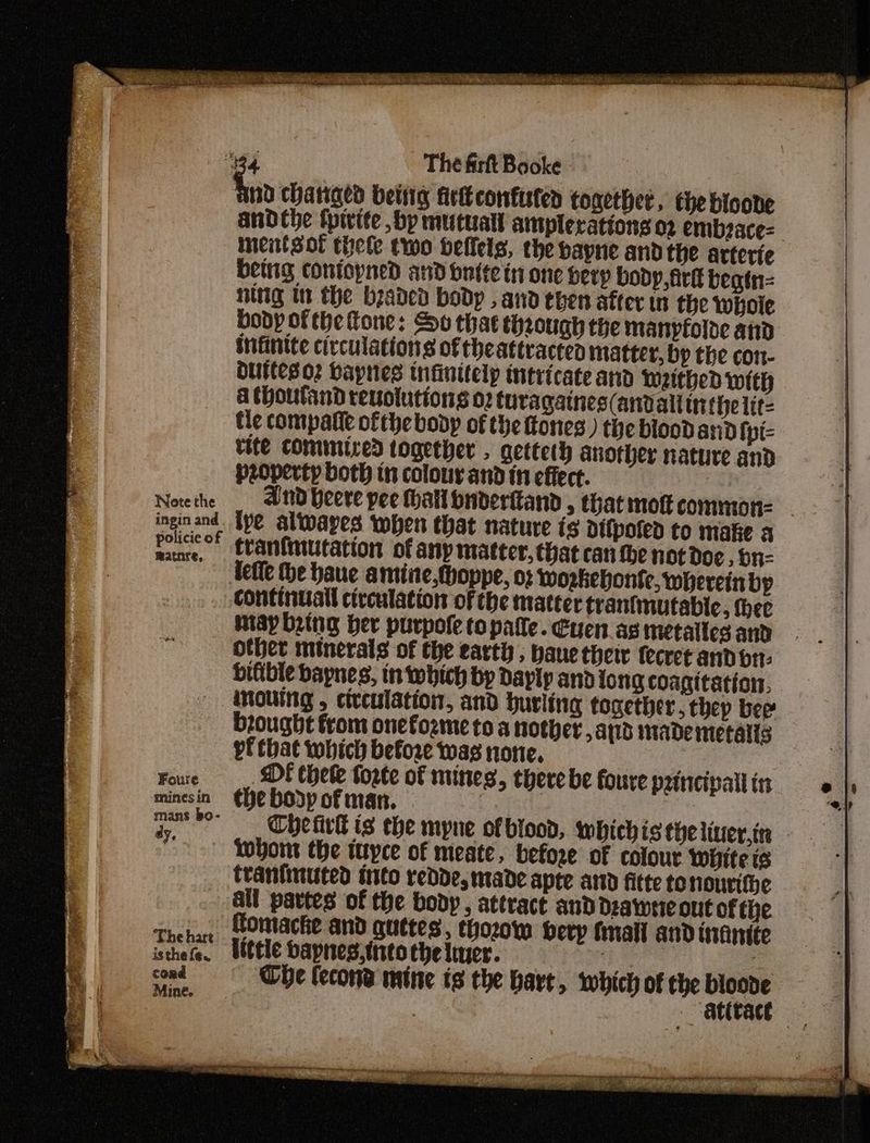 Note the ingin and policie of matnre, Foure mines in mans bo- ay, The hart is the fe. coad Mine. andthe tpiite bp mutual amplerations oz embsace- inentsof thele two beflels, the bayne andthe arterie being confoyned and butte tn one berp body, Avi beatn= nittg itt the braded body , and then after in the whole body ofthe fone: So that theough the manyfolde and infinite circulations ofthe attracted matter, bp the con- OUECsO2 bapnes tnfinitely intricate and waithed with A thoutand revolutions 02 turagatnes(anvait tn{helit= tie compalie ofthe body of the ftones ) the blood and {pt tite cOmmiired together , getteth another nature and property both in colour and in effect. and bere pee hall bnderttand , that moft common: tye alwayes when that nature is difpoted to make 4 tranfinutation of any matter, that can the not doe , bn- tefle he haue amine,thoppe, o: workebonte, wherein by continual circulation of the matter tranfnutable, thee ntay bring ber purpole topatte. Cuen as metailes and other minerals of the earthy, bane thetr fecret and br: biftble baynes, in which by Dayly and ong coagitation, inourng , circulation, and hurling together, thep bee brought from onefozme toa nother sapid mae mietalis vf that which before was none. DI theke torte of mines, there be foure principal in the body of man. | Be Cheirk is the myne of blood, whichis the liner,in wwhont the ityce of meate, before of colour whiteis tranfinuted into redde, made apte and fitte to hourifbe all partes of the body, attract anddzawrie out of the fomacke and quttes, thozon bery fail and inanite Uitele bapnes.into the ler. u 0 The lecons mine ts the bare, which of the bioode