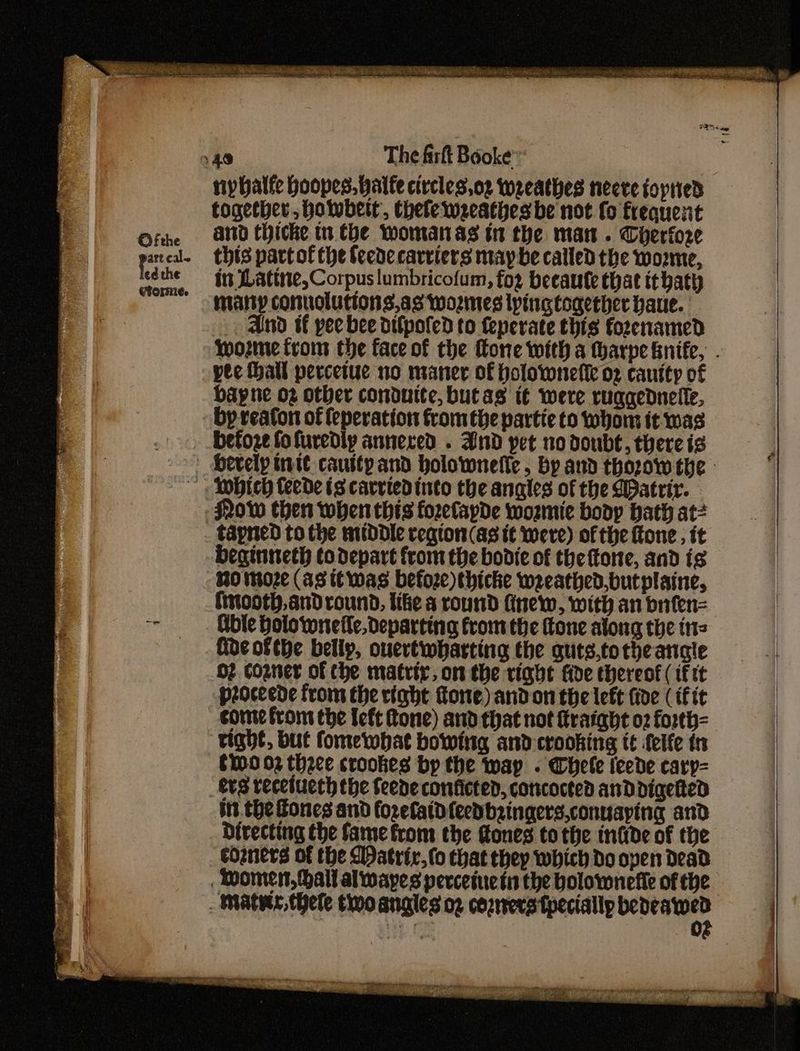 nybalfe hoopes. alte circles.oz wreathes neere fopried together, holwbert, thefeweeathesbe not fo frequent and thicke tn the Woman as tn the man . Cherfore this part ofthe feede carriers maybe called the wo2me, in Lattne,Corpuslumbricofum, for becaufe that ithaty matty conuolutions.as wozmes lping together baue. And if pee bee difpofed to {eperate this fozeramed Wwozme fron the face of the fone with a tharpe knife, . pee hall percetue no maner of holownefie og cautty of Hayne 02 other conduite, butas it were ruggednelle, bp reafon of feperation fromthe partie to whom it was Now then when this forelapde wosmie boop Hath at? tapned tothe middle region (as tt were) of the {tone , tt beginneth to depart from the bodie of the fore, and is RO moze (43 twas before)thicke weeathed,butplaine, finooth,andround, like a round fnew, with an bnfen= Abie holownefle, departing from the fone along the ints fide ofthe belly, ouertiwbarting the guts,totheangte 02 coener of the matrix, on the vight fide thereof ( tft proceede from the right tone) andon the left five (if it corte from the left tone) and that not raight 02 forth= right, but fomewhat bowing and crooking tt felfe tn C0 02 thee crookes by the wap . Whele leede cary- evs recetueth the feene conficted, concocted andDdigetted iit. the Fones and forelaid{eedbzingers,conuaping and Directing the fame from the Cones tothe infide of the cozners of the Watrir.(o that they which Do opens Dead Ey oy eee a tara