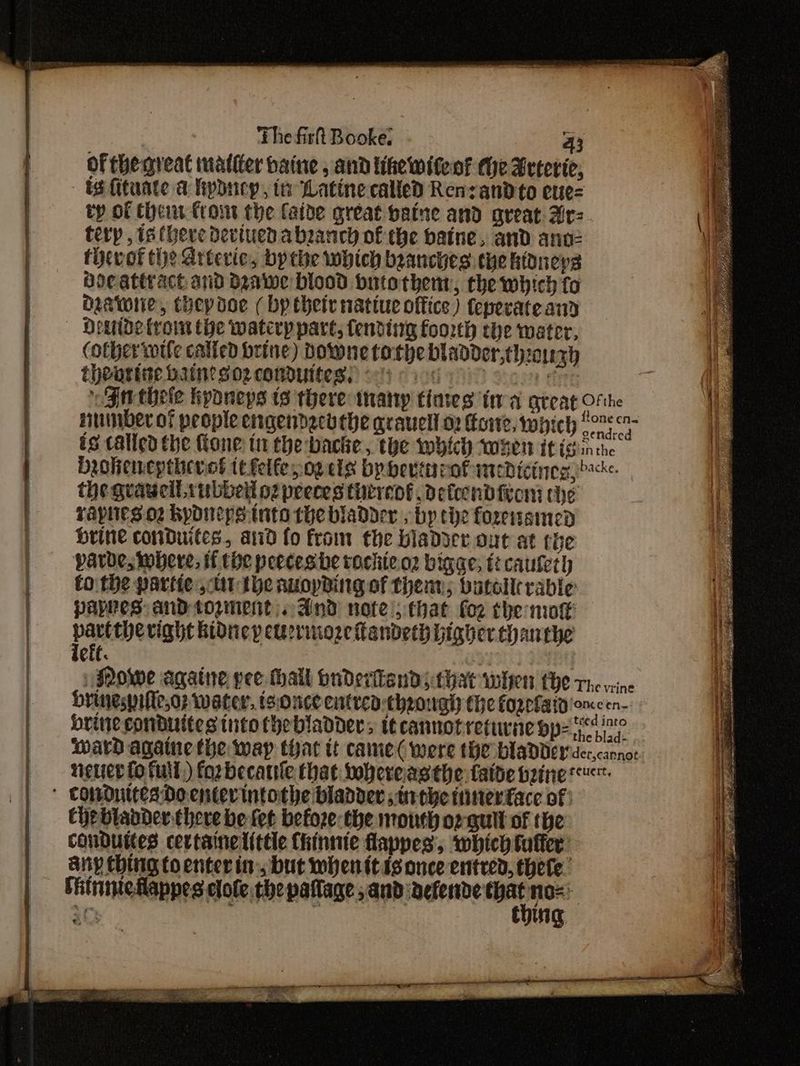 43 of thegreat matter baine , and tikewiteot the Steric, terp , is (here deviued abanch of the baine, and anv- fhevot the Artevic, bythe which beanches the kidneys Hoc attract and Dawe blood butothent, the which fo Osawiie, thepdoe ( bp theit natiue office) Ceperate and Heeide trom the watcrp part, fending foot ehe water, (other vorle calfed brine) Downe tothe bladder,thzor xb thearine bane sozconduites. of) od he nuinber of people engendeck the qrauell o2 owe, which is called the (lone tn the backe, the which wren it is the gvaucil subbeil o2 peeces thtreof delcondieoni the rapneso2 kyoneps into the bladder » by che forensimed brine conduites, arid fo from the bladder out at ch Ehebladder there be fet befoze: the month op-gull of the condDutes certaine little Chinnte fappes,, which tuffer any ching toenterin. but whentt ss once ented, there. Fhitninedlappes clote the pattage sand aeferide ao 10 : ef smi ey er ee aN A Aisin’. saat La ane aaaain 2 _