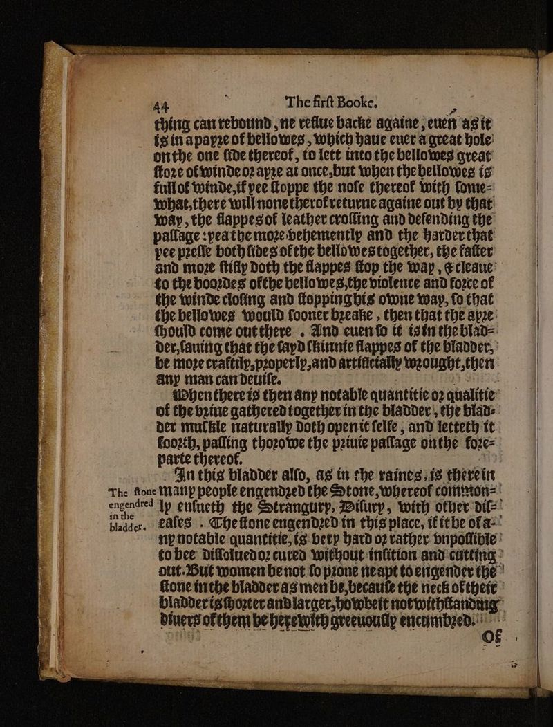 thing can rebound , ne veflue backe againe, etter asit is in apapreof bellowes , which haue ener a great hole: onthe one fide thereof, to lett into the bellowes aveat fto2rc oftwindeozapze at once,but wher thebeilowe;s is fuilof winde,if pee oppe the nofe thereof wrth fome=- what, there will none therofreturne againe out by chat: Way, the flappeso€ leather crolfing and defending the pallage :peatbe moze bebementlp and the Barder that yee prefie both fides ofthe bellowes together, the fatter and moze fifly Doth the fappes Gop the may, Ecleaue’ to the boodes ofthe bello wes, the biolence and force of the wide clofing and foppinghis owne way, fo that the bellowes would fooner bzeake , then that the apze: Mould come outchere . And cuenfo t¢ tain the biad= Der, fauing that the fayd hinnie flappes of the bladder, be moze craftily,poperly, and artificially weought,chert Any nian can deutle. Tee ete ene iia Bieie Phen thereis then any notable quanticie o2 qualitie: of the brine gathered together in the bladder’, the lad: dev mufhle naturally Doth openit felfe, and lecteth tt foo2th, palling thozowe the peiuie paflage onthe fore= parte thereof. : Mae An this bladder alfo, as tn the raines 513 therein ny notable quantitie, is bety Hard 02 rather bupoflible : to bee difoiuedoz cuted without infition and cutting: out.But women benot fo prone neapt to erigender the fone inthe bladder as men be,becaule the neck of thert Hiadevisthozcerandlarger,howbeit notwithtanding divers ofthem be herewith aveeuoudly ence geD