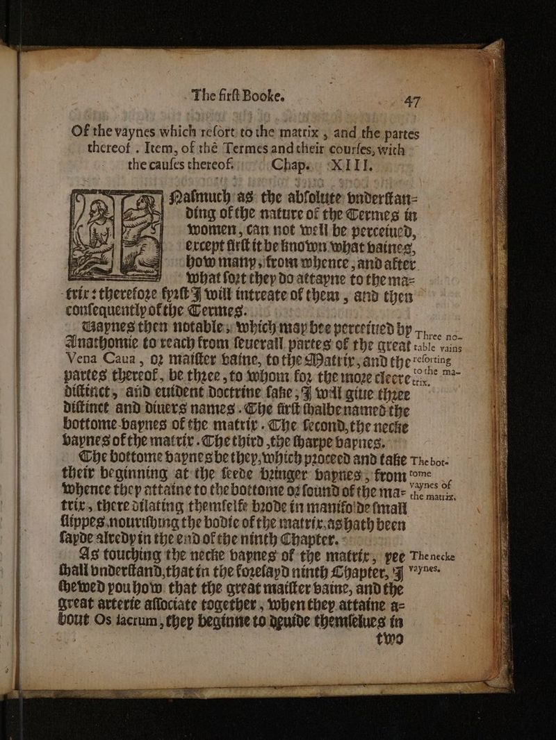 Of the vaynes which refort to the matrix , and the partes thereof . Item, of thé Termes and their courfes, with the caufes thereof. Chap. “XIII. > | sLatmuch as: the abfolute bnderfan- Ss ding ofthe nature of the Cermes in women, can not well be perceiucd, ercept firlitbe known what baines, bow many; from whence; and after ee ee what fort thep do attayne tothe maz vic: therefore fp2t FZ wilt intveate of then, and then confequentip ofthe Cerimes. Gapnes then notables which may bee perceived by... anathomie to reach trom feuerall partes of the areat table vains Vena Caua , 02 matfter Laine, tothe Datrir, and the ting partes thereof, be theee to whom for the moze cleere 22 difitict, and eutdent Doctrine fake; F wal give three Diftince and Diuers names. Coe fir halbenamed the bottome-baynes of the matriv. Che fecond, the necke haynes ofthe matrir.Che third the tharpe bapnes. Cie bottome bapnes be thep, which proceed and take The bor- their beginning at ihe feede beinger haynes, from ¢ whence thep attaine to the bottome o2 found of the maz os trix, there dilating themlelfe bzode i manifo'de fmalt flippes.nouribing the bodie of the matrix;ashath been fayde alvedDyin the endofthe ninth Chapter. : As touching the necke bapnes of the matrir, pee Thenecke hall pnderitand,that in the fozelayd ninth Coapter, 'F 7 hetwed poubow that the great matter baine, and the Qreat arterte afloctate together, when they attaine a- bout Os jacrum, thep beginie to dgutde bas agen |