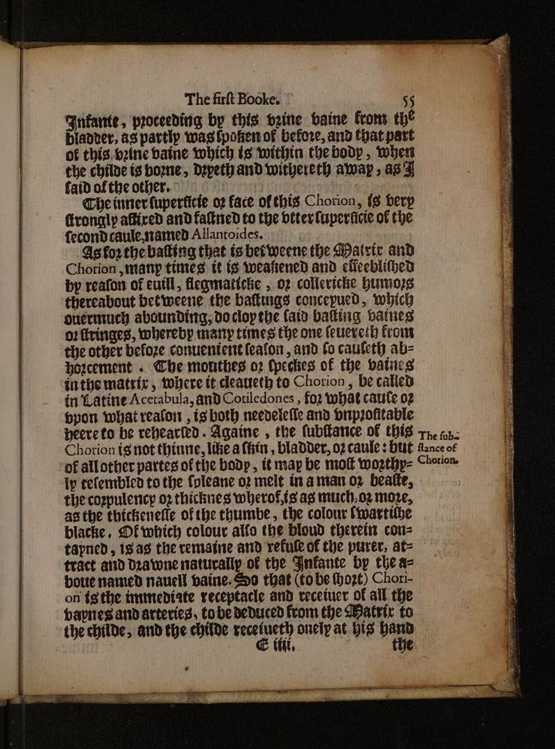 Fnfante, proceeding by this weitte baine From: th® bianter, as partly was fpohenof before, and that part of this. o2ine baine which is within thebody , wher the chile ts borne, Depeth and witvereth away, as7 faid of the other... | Che inser {uperticie o2 face of this Chorion, (8 berp ronaly afiredD and fated to the biter fapertice of the fecond caule,sramied Allancoides. As forthcbalting that isbetweenc the Gpatrtr and Chorion many times tt Is weafiened and ciiceblifhen by reafon of euttl, flegmaticie , 02 colleriche Htnio;s thereabout betweene the bafkings concepued, which ouermuch abounding; docloptbhe (ato baking batnes 07 fringes, whereby matty times the one feueveth from the other befoze conuenternt feafon, and fo caufeth ab- Horcement . Che monthes o2 (peekies of the batucs inthe matrix, tobere tt deaueth to Chorion, be calicd in ‘Latine Acctabula, and Cotiledones , fo what caute o2 byon what reafoi , is both needelefle and ouprofitable ip refembicd to the {oleane o2 melt in anian oz beatte, thecompulency 02 thicknes wherofts ag much.o2 moze, as the thichenefle of the thumbe, the colour Cwartithe blacke. Df which colour alfo the bloud theretws cou- tayned, 1g a8 the remaine and refule of the purer, at= tract atid Dzawne naturally of the Fnfante bp the aq botte named nauecll haine.<o0 that (to be (hozt) Chori- on tg the immediate receptacle and recetucr of all the haynes and arteries, tobe deduced from the Watrir to the childe, and the childe sa 9 oncip at His i itt, ¢
