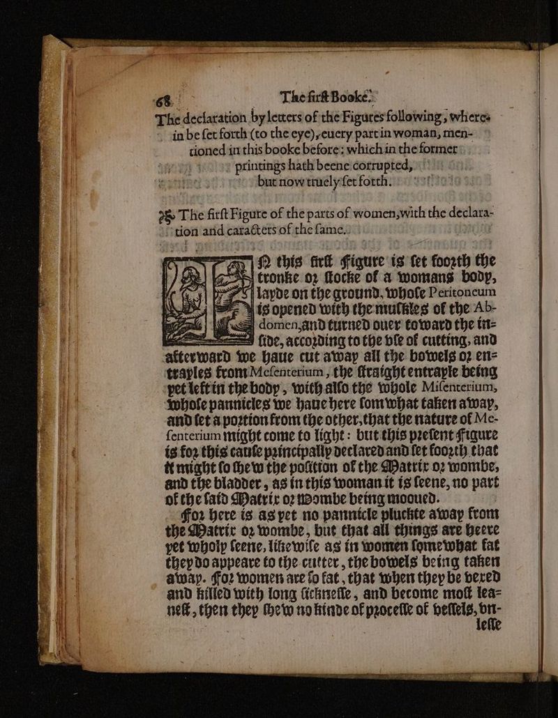 The declaration byleters of the Figures following, wheres in be fer forth (to the eye) euery partin woman, men- tioned in this booke before: which in the former: ‘printings hath beene corrupted, | but now truely fet forth. ae aD 142 this fick Figure is {et foosth the Se SS tronke. 02 ftocke of a womans body, > Si layoe on the ground, whole Peritoncum ysis opened with the mulbles of the Ab- eyo | Ww} domen,and tured ouer toward the tit wee (ide, accowing to the ble of cutting, and afterward we baue cut away all the bowels o2 en= traples front Mcfentetium , the fratght entvapte being peticftin thebody, with.alfo the whole Mifencerium, ‘Sobofe pannicies we haue here fomwpat taken away, and {et a postion From the other.that the nature of Mc- fenterium might come Co light: butehis pretent figure is fo2 this canfe principally declaved.and {et foogth that tt night fo thew the polition of the Watttr o2 wombe, and the bladder, as in this woman it ts feene, no part of thefatd Datrtr o2 nb ombe betit1g mooued. | ffor Here is as pet no pannicle pluckte away from the WDatvrir 02 wombe, but that ail things ave Heere yet wholp teen, likewile as it women fomewhat fat they do appeare fo the cutter, the bowels betig taker away. foz women are fo fat, that wher they be dered and filled with long ficknefle, and become mot lea- re, then they thew no finde of procette of es : e