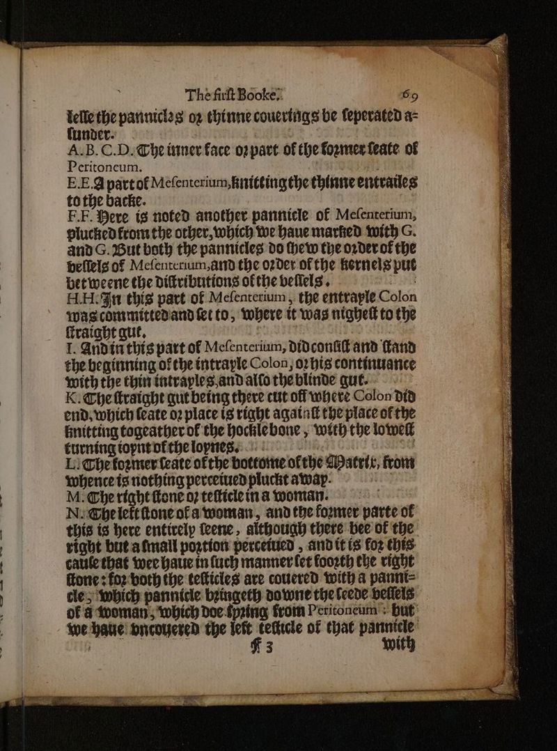 pe pariniclss o2 thinne couertigs be feperated a- under : area A.B. C.D. Ghe ttner face oz part of the Former feate of Peritoneum. ie E.E.@ partof Mecfentcrium, kitting the thinne entraties to the backe. | EF. Bere is noted another pannicle of Mefenterium, plucked from the orher, which We haue marked with G. andG. But both the pannicles do thew the order of the befiels of Mcfentcrium,and the ozder of the Kernels put betweene the diftributions ofthe bellels. TAS H.H: 9 this part of Mefentetium , the entraple Colon wascommittediand fet to, Where tt was nighell to the ffraight que, | 1. Andinthis part of Mcfentcrium, DidconAt and Cand the beginning of the intvaple Colon, or hts continuance With the chin intraples.and alfo the blinde que. - K. Che ttratght qut being there cut of where Colon did end, which {eate o2 place ts right agatntl the place of the Bnitting togeather of the hocklebone , with the lower turning topntottihe lores... : | | UeSe Li Chefoemerfeate ofthe bottome ofthe Watett, frome whencets nothing percetucdplucktawap. = M. Whe riabt fone op tefticeina woman. = Nu @beiefttone ofa woman, andthe former parte of this is here entirely feene, although there bee of the tight but afmall postion percetucd , andittts fox this cauletbat wee baue tn fuck manner fet foorth the right fone : for-both the tefticies ave coucred with a paunt= cles Iwbich pannicle bzingeth Downe the lcede bellels of a tvoman; which Doe {pring from Periconeum < but: we have brcouered the lett > ce of that ages 3 ' 3 {