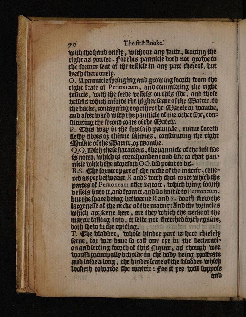 with he handorely, without any Knife, leaving che right a3 poulee. for this parucle Doth not growe to the fozmer feat of the telticle it any pare thereof, but Ipeththersonelp. O. Apannicle fpaingittg and growing foorth trom the tight feate of Periconcum, andconmitting the right tefficle, with the feede bellels on this fide, and thote hellels which infolde the higher feate of the Wairtr, to the backe, contapning together the GDateiro2 wombe, and afterward with the pannicte of the other i5e, con= Fitting the fecond coate of the Matrir. P. Chis way in the forelaid panntcte , rune foo2th fleyp Hbzes 02 thinne thinnes, confituting the right SPulkie of the Watrtr,o2 toontbe. Hein Q.Q. with thele havacters , the panicle of the left ide ts noted, which ts cogrefpondent and tikie to that pan= nicle which the afozefatd OO.DIDpointtobs. RS. Che former part of the necke of the matrix, coues redaspetbetweene R ands with that coate which the partes of Pcrironcum offer dbnitott, which bing footh heflels buto tt,and from it,and Do finit it to Peritoncum: but the {pace being betweeneR and S., dooth hew the Laraertel{e of the neche of the matrir:and the weincles which aveteene here, are thep which the necke of the matrte falling into, it feite not Mretched forth againe, Doth hewinthecutting, .9° ee se es T. Ghe bladder, whole binder part is here chtetelp feene, fo2 twee baue fo cal our epe tn the Declaratt- onand letting foorcth of this Figure, as though wee — would principally bebolde tt the body being proftrate andlafdeatong, the binder feate ofthe biadoer, which toohes towarde the matric : foe tf pee will wage