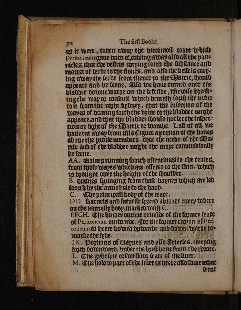 7% | as it were, takers away the betermok coate which Perironenmgaue onto tf,cutetng away alfo-all the pan= nicies. that the bellels carping torch the fubfance and © mtatterof (eede tothe tones, and alfo the bellels cary- itng away the feede from thence to the Watrir, Hould appeare and be feene. Alfo we haue turned ouer the bladver Downewarde on the left fide, ithewtle byeati- ing the way oz conduit which beaveth forth the Deine toit fromthe right kydnep, that the nfertion of the wayes of bearing forth the brine tothe bladder might appeare.and that the bladder thould not let the tnfpec- tiomor fiahtof the Matric oz wombe. Halk of all, we bauccut away from this figure a postion of the bones aboue the petuie members, that the neche of the Maz ree andof the bladder night the moze commodtoully eleere. AA. Gaines running foorth oftentimes to the teates, from thofe wapes which are offered to the (hin, which is bought ouer the height of the outder. B. waines (pinging from thole baynes which are led Foozth by the arme bale to the hand. C. Wheprinctpall body of the teate. DD. tarnels and fatnefle Spzead abzoade eurerp where onthekarnellpbodp.marked wiibC.: +] EFGH. Gbe hinder outhde o2 inlide of the former (cate of Periconcum outwarde. ffo2 the fozmertegion of Pert- -— toncum {gs Heere bowed bpiwarde andDoronc warde to- warde thefynde. “Me Cie 2 | sot da. A ey et IK. Portions of wapnes and alfo Arteries, creepitig forth Downward, bnder the beet bone from the thzote. L. Ghe gpbotpte oefwelling feate of theltucr. |) | eene