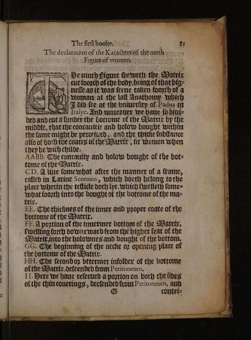 The declaration of the Karacters of rtheninth.. - Figure of women.» lave He ninth sigure thewweth: the WDatric ZA fox’) cutfoorth ofthe body, being of that bta- fio worms | nelle agit was {eene.takien foosth of a Cem: aco it woman at the lal Anathomp which Pies) (eA 5 dtd fee at the niuerfity-of Padua irs Sessa Iralyc. And mozeouer we haute fo diut= Ded a and cuta funder the bottome of the Dpatrir by the middle, thatthe concauttte and bolow bought withir the fame might be percefued,, and the thtcke Inbiance alfo of both the coates of the WPatrir 5 tir Women wher hep be with childe. AABB. Gheconcautty and holow bought of the bot= tome of the Dattrir. CD, @ line fomewhat after the manner of a feame, called tn ZLatine Scorum, which doeth belong tothe place wherit the tefticle doth lpe, witcy Cwellety fome= what foozth into the bought ot the bottome of the maz trir. EE. Che thichnes of theinner and proper coate of the bottome of the Watrir, FF. @ pogtion of the tanermer bottom of the Watrty, fiwelling forth Downe ward from the higher feat of the WMatriy,into the holownes and boughe of the bottont. GG. Che beginning of the necke o2 opentig place of the bottome of the Watrtr. HH. Ghe fecondoz bitermer infolder of the bottome oe CBatriv.defcended from Peritoncum, II. Herve we haue referned a portion on both the lides of the thin couerings , paca frou Petitoneum, ee contet=
