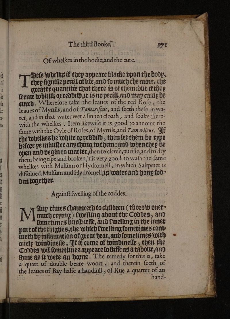 Of whelkes inthe hades tad the cure. ele whelks tf thep appeare blacke bpon the body, - Chey Gigntfie pevtil of life,and fo much the moze, cee greater quantitie that there is of thenbue iithep Cente Whitt o2 redd1H), tt 5 no pevill,and may cafilp be cured. Wherefore take the leaues of the red Rofe , the Ieaues of Myrtils, and of Tamarifcus, and feeth thefe in wa- ter, andin that water wet alinnencloath , and foake there- with the whelkes . Item likewife it 1s good toannoint the fame with the Oyle of Rofes,of Myrtils,and Tamurifcus. FE the whelkes be white op veddifly, thentet them be rppe Hefoze pe minifer any thing to chem: and when they be open and begin ta matter,thento clenfe,purifie,and to dry them being ripe and broken, it is very good to wath the fame whelkes with Mulfum or Hydromell , in which Salepeter is diffolued. Mulfum and Hydromell,ig water and Hoy fod= Den together. Againft {welling of the coddes. Any tinres chaunceth to children ( thorow ouer= M much crptiig ) (welling about the Condes, and fonctimes baritnefle, and {welling tn the tuner partofehe tytghes.the which {welling Cometimes com: meth by inflamation of qveat beat, and fonretimes with gielp windinelle . Fi it come of windinelle , then the Condes wit fometimes appeare lo Hiffe ag atabour,and fhine as it were an Wome. The remedy forthis is, take a quart of double beare woort , and therein feeth of the Jeaues of Bay halfe a handfull; of Rue a quatter.of an Ris eae fe a nanan, OF AU isa