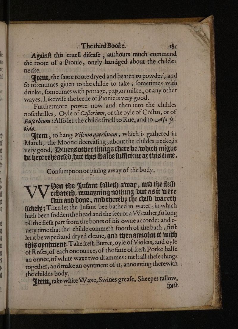 Againft this crucll difeafe , authours much commend necke. | Feet, the fame roote dryed and beaten to powder’, and fo oftenumes giuen to the childe to take ; fometimes with drinke , fometimes with pottage, pap,or milke, or any other wayes. Likewifethe feede of Pionic is very good. Furthermore powre now aud: then into the childes nofethrilles, Oyle of Ca/foriwm, or the oyle of Coftus, or of Euforbinm : Alfo let the childe {mell to Rue, and to A/a fe- tida. FAtem, to hang Vifcum querfiinam which is gathered ‘in March, the Moone decreafing , about the childes necke,is be here reyearfed,but this Halbde fuffictent at thts tine. Confumpuonor pining away of the body, rebateth, remapning nothing but asit were Kin and bone, andthereby the chud wareth fichelp ¢ Then let the Infant bee bathed in water 5 in which hath been fodden the head and the feerofa W eather,folong till the flefh part from the bones of his owne accorde: and e- uery time that the childe commeth foorth of the bath , firft lett be wiped. and dryed cleane, and then anoint it with this opntitent. Take freth Butter, oyle of Violets, and oyle an ounce,of white waxe two dtammes : meltall thefethings together, and make an oyntment of at, annointing therewith . ‘Beem, rake white Waxe, Swines greafe, Sheepes wets ey ae
