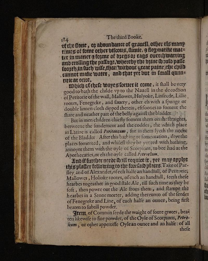 foorth.in (uch wife,thatcmithout great patie) the cytid titicat orice, “popich cthele wapes foeuer it come, it hall be very rootes, Fenegtcke , and fauery, other els with a {punge or _fhare and neather part of the belly againft the bladder. ° Burin men children chiefly foment them onvhe ftraights, berweenc the fundement and the coddes , the which place inLatineis called Peritoncum , for in them lyeth the necke of the Bladder. After this bathing or fomentation, dryethe . places fomented, and whileft they be yerred with bathing; aonoynt chem with the oyle of Scorpions, to bee hadatthe Apothiecaties,or elsthe oyle called Petroelum. — -Anogiffurther neede thal require tt, pee map applye ‘thig platter following to the fozetaid places. Take of Pat- fley and of Alexander,ofech halfe an handfull, of Perrtorie; Mallowes , Holioke rootes, ofeach an handfull, feeth thefe hearbes togeather in good ftale Ale, till {uch timeas they be foft , then powrc out the Ale from them, and ftampe the hearbes in a Stone morter, adding thereunto of the feedes of Fenegreke and Line, of each halfe an ounce, being firft beaten to fubtill powder. Ftemt, of Commin feede the waight of foure gretes , beas ten likewife to fine powder, of the Oyle of Scorpions, Petro- lem, ot other appertiffe Oylean ounce and an halfe: of all se thefe