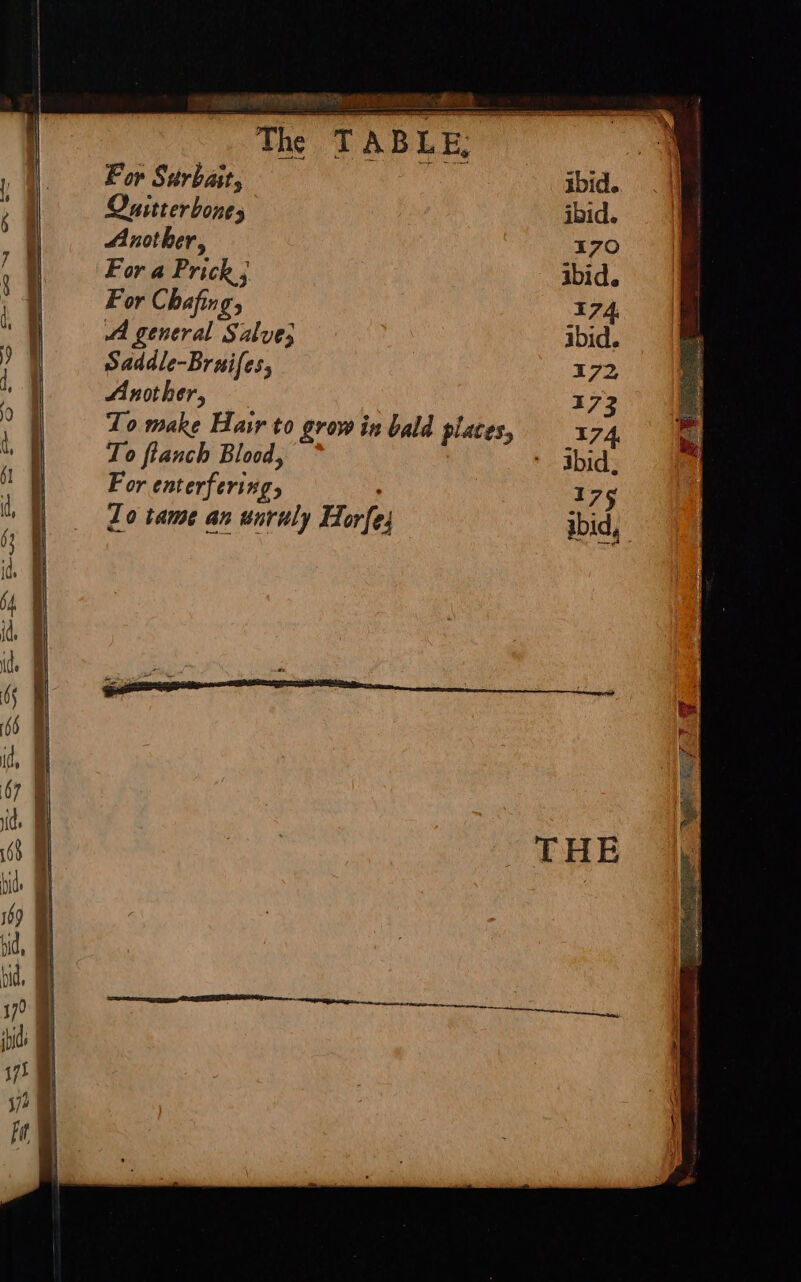 ss See.» ea ~ =, _ 7 EEF = Ree “——S s-AW 2 — a am ay MIG ie 2 = os o~ — c—_ = BE ES f2—-&lt;r2 1“ as a+ a = Shen —eo = = &gt; -_ = Ra ee The For Surbait; Quitter bones ibid. Another, 170 For a Prick; ibid. For Chafing, 174, AA general Salve; ibid. Saddle-Bruifes, 172, Another, 173 Lo make Hair to grow in bald places, 174. To fianch Blocd, - dbid, For enterfering, ; 175 Zo tame an unruly Horfes abid,