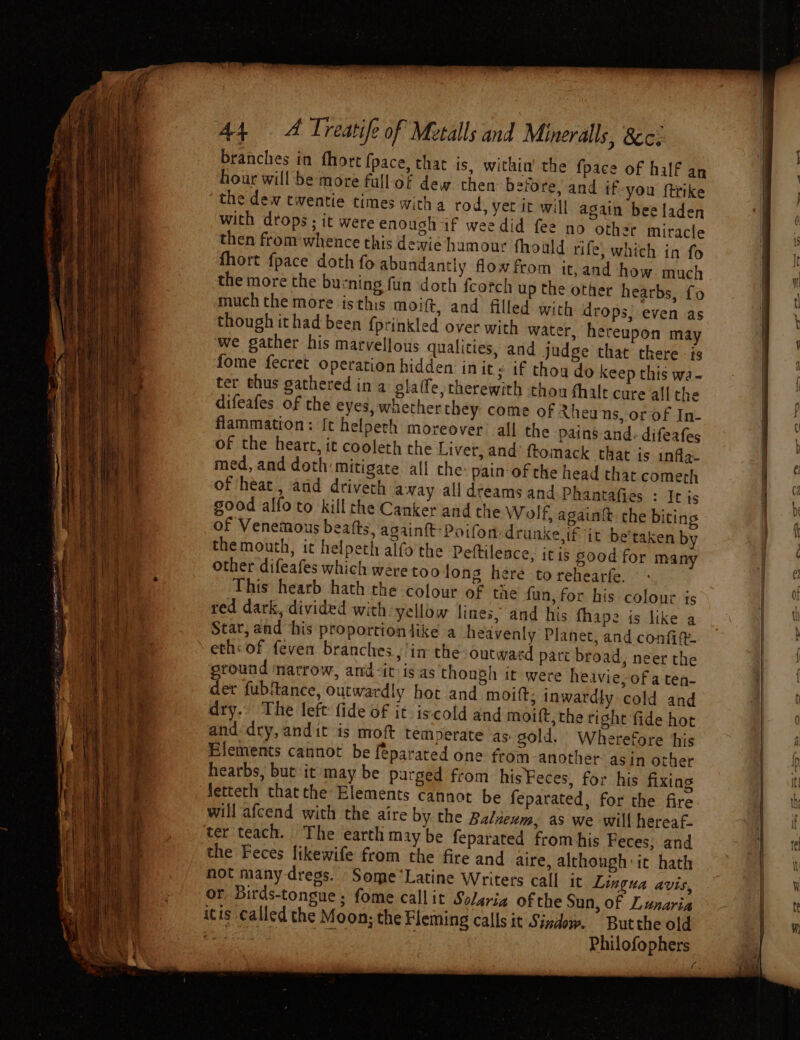 | BB OTRE teecsty aan wees aoe . reer a ee hie, ~ ethos BA ‘ : Fes orer : 8 A4 A Treatife of Metalls and Minerals, 8c. branches in fhort fpace, that is, within’ the {pace of half an hour will be more full of dew then before, and if-you ftrike the dew cwentie times with a rod, yet it will again bee laden with drops; it were enough if wee did fee no other miracle then from'whence this dewie hamour fhoald rife) which in fo fhort fpace doth fo abundantly flow from it, and how. much the more the burning fun doth fcotch up the other hearbs, fo much the more isthis moift, and filled with drops, even as though ithad been {prinkled over with water, hereupon may we gather his marvellous qualities, and judge that there is fome fecret operation hidden in it; if thou do keep this wa- ter thus gathered in a gla(fe, therewith thou thalt cure all the difeafes of the eyes, wuetherthey come of Rheuns, or of In- flammation: It helpeth moreover all the ‘pains and: difeafes of the heart, it cooleth the Liver, and’ ftomack that is infla- med, and doth mitigate all the: pain of the head that comech of heat, and driveth away all dreams and Phantafies : It is good alfo to kill the Canker and che Wolf, againit. che biting of Venemous beatts, againtt:Poifon-drunke if it be'taken by the mouth, it helpeth alfo'the Peftilesce, itis good for many other difeafes which were too long here to rehearfe. This hearb hath the colour of the fun, for his colour is red dark, divided wich yellow lines and his fhape is like a Star, and his proportiondike a heavenly Planet, and confide eth« of feven branches ,’in the: outward part broad, neer the ground narrow, and-it is-as though it were heavie-of a ten- der fubitance, outwardly hot and moift; inwardly cold and dry.. The left: fide of it iscold and moift,the right fide hot and dry, andit is moft temperate ‘as. gold. Wherefore his Elements cannot be feparated one from another asin other hearbs, but it may be purged from his Feces, for his fixing fetteth thatthe Elements cannat be feparated, for the fire will afcend with the aire by the Balneum, as we will hereaf- the Feces likewife from the fire and aire, although it hath not many-dress. Some’Latine Writers call it Lingua avis, or Dirds-tongue; fome callit Solaria of the Sun, of Lunaria itis called the Moon: the Fleming calls it Sindow. Butthe old «MEE os OTe Philofophers Kine