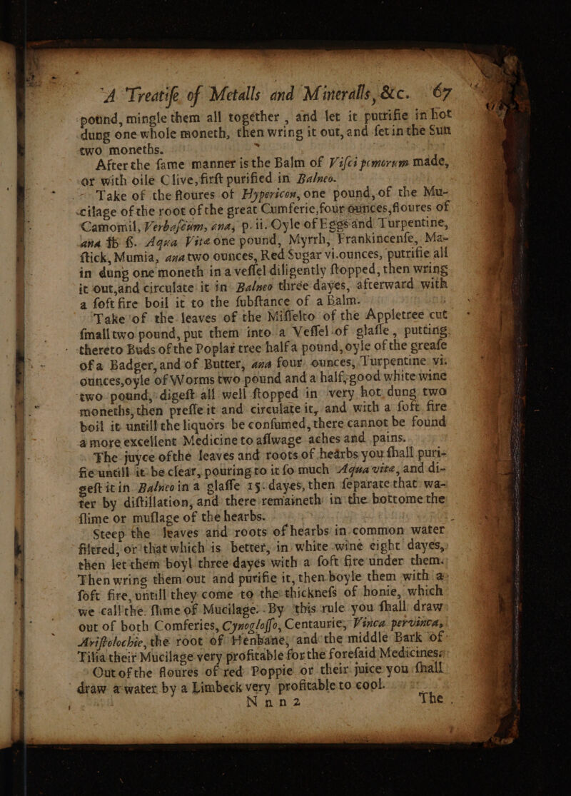 potind, mingle them all together , and tet ic putrifie in hot dung one whole moneth, then wring it out, and fetin the Sun two moneths. z: . Afterthe fame manner isthe Balm of Vi/ci pemorwm made, or with oile Clive, firtt purified in Balneo. Take of the Roures of Hypericon, one pound,of the Mu- cilage of the root of the great Cumferie,four eunces,floures of Camomil, Verba/cum, ana, p.1i. Oyle of Eggs.and Turpentine, ana tb &. Aqua Vite one pound, Myrrh, Frankincenfe, Ma- ftick, Mumia, azatwo ounces, Red Sugar vi.ounces, ‘putrifie all in dung one moneth ina veflel diligently ftopped, then wring it out,and circulate it in Balveo three dayes, afterward with a foft fire boil it to the fubftance of a Balm. fmalltwo pound, put them into a Veffel-of glafle , putting. thereto Buds of the Poplar tree halfa pound, oyle of the greafe ofa Badger, and of Butter, ava four ounces, Turpentine: vi: ounces,oyle of Worms two pound and a half;good white wine two pound, digeft all well ftopped in very hot dung two moneths,then prefle it and circulate it, and with a foft, fire boil it untill che liquors be confumed, there cannot be found a more excellent Medicine to aflwage aches and pains. Fhe juyce ofthe leaves and roots of hearbs you fhall purt- fieuntill it be clear, pouring to ic fo much “Aqua vite, and di- eftitin Balneoin a glaffe 15. dayes, then feparate that: wa- ter by diftillation, and there remaineth: in the bottome the flime or muflage of the hearbs. > filtered; or that which is better, in) white-wine eight dayes, then fet them boyl three dayes with a foft fire under them. Then wring them out and purifie it, then boyle them with a: foft fire untill they come to the:thicknefs of honie, which we callithe. flme of Mucilage: -By this rule you fhall: draw out of both Comferies, Cynog/offo, Centaurie, Vinca. pervanca, Aviftolochie,the root of Henbane; and the middle Bark of: Tilia their Mucilage very profitable forthe forefaid Medicines«: Out of the floures of red Poppie or their: juice you fhall draw. a water by a Limbeck very profitable to cool.
