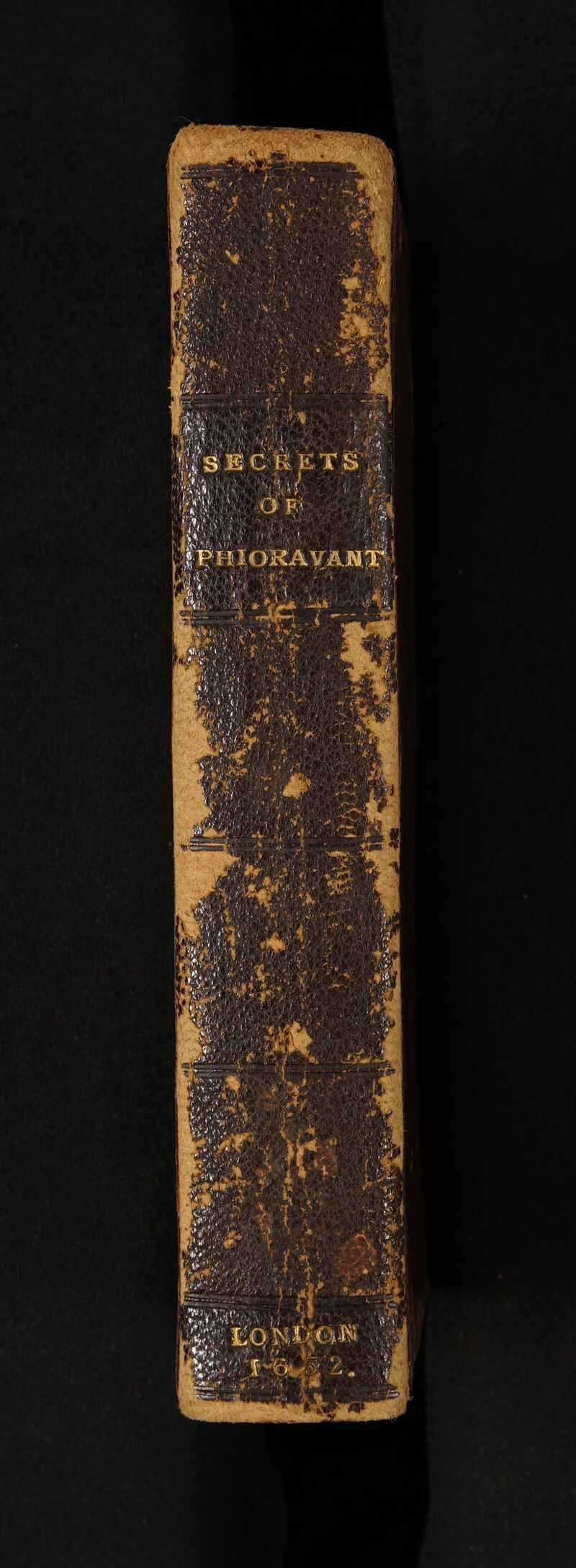 No text description is available for this image