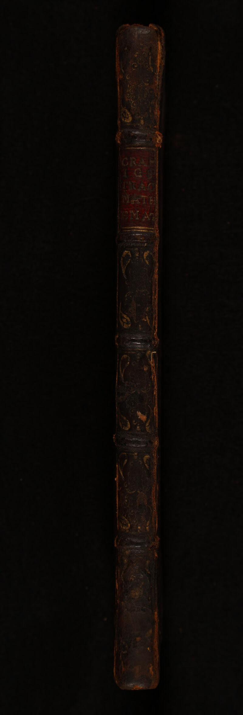 No text description is available for this image