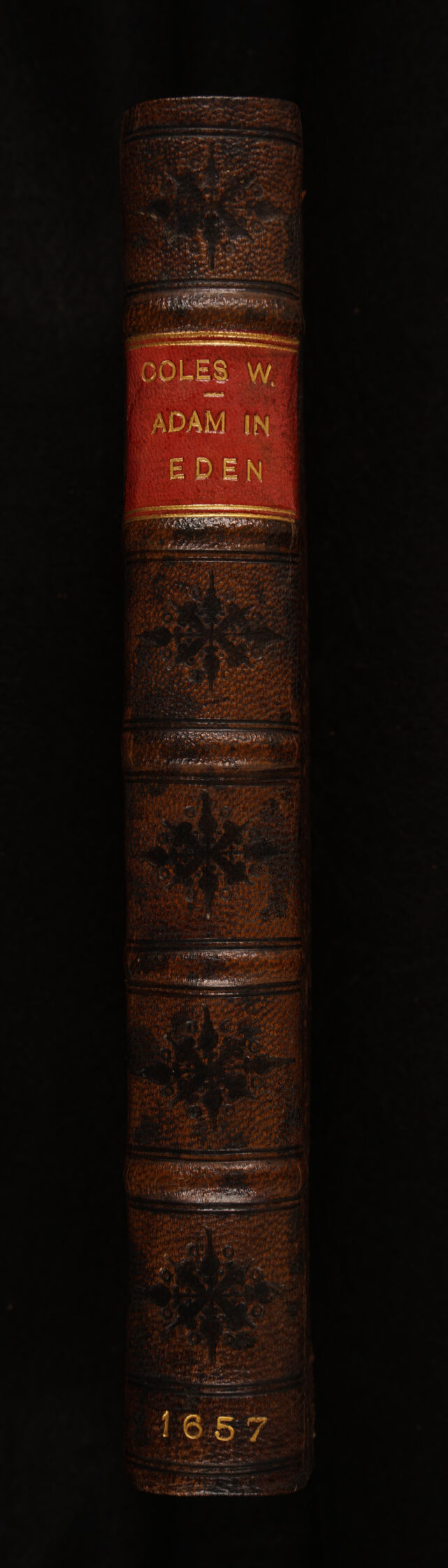 No text description is available for this image