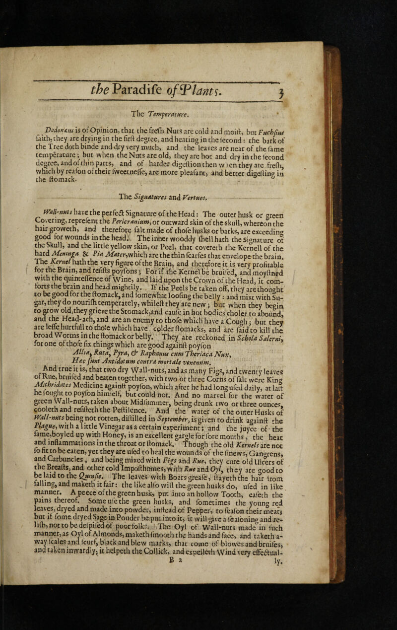 the Paradife of ^^lants. } The Temfemttire, DodonAm is of Opinion, that the fretli Nuts are cold and moid, but Fttchfpn faith, they are drying in the firft degree, and heating in the (econd: the bark of the Tree doth binde and dry very much, and the leaves are near of the fame temperature; but when the Nuts are old, they are hot and dry in the fecond decree, andot thin parts, and ol harder djgeftion then w Ten they are frelh, which by reafon of their fweetnelfe, are more pleafanc, and better digedinp in the domack. The SignAtures and Vertues, mil-nrns have the perfe^ Signature of the Head: The outer husk or careen Covering, reprelent the PerkrAniam^ or outward skin of the skull, whereoli the hairj^roweth, and therefore lalt made of thofe husks or barks, are exceedin^^ good for wounds in the head. The inner wooddy (hell hath the signature Si the Skull, and the little yellow skin, or Peel, that covereth the Kernell of the hard Mentnga &; Pia MAter<,vfh\ch are the thin fcarfes that envelope the brain. The hath the very figure of the Brain, and therefore it is very profitable tor the Brain, and refifts poyfons; For if the Kernel be bruifed, and moyflned with the quinteffence of Wine, and laid upon the Crown of the Head, it com¬ forts the brain and head mightily. If the Peels be taken off, they arethouc'hc' to be good for the ftomack, and ibmewhac loofing the belly: and inixt with Su¬ gar, they do nourifh temperately, wbileft they are new; but when they bec^irx to^(W old,they grieve the Stomack,and caufe in hoc bodies choler to abound, and tl^ Head-achj and are an enemy to thofe which have a Coup'll • but thev are leffe hurtfull to thole which have colder ftomacks, and are faid to kill the broad Worms in the ftomack or belly. They'are reckoned in SMa Salcrnly lor one of thofe fix things which are good againft poyfon AUja^ RatAy PyYA^ & Rafkamu cum TherUca JVux, Hac fmt Antidotum contYA moYtale 'Vtnennw. rw Wall-nuts, and as many Figs, and tvVenty leaves ol Rue, bruifed and beaten together, with two or three Corns of fait were Kin^ MithYidates Medicine againft poyfon, which after he had long ufed daily, at laft he fought to poyfon himlelf, but could not. And no marvel for the water of green Wall-nuts, taken about Midliimmer, being drunk two or three ounces cooleth and refifteth the Pertilence. And the water of the outer Husks of JVali’nntsbcinonot rotten, diftilled in SeptemheY, is given to drink againft rfic Plague, with a little Vinegar as a certain experiment; and the juyee of the lame,boy led up with Honey, is an excellent gargle for fore mouths, the heat and inftammations in the throat or ftomack. Though the old KeYnels are not fofitto be eaten, yet they are ufed to heal the wounds of the finews, Ganarens, and Carbuncles , and being mixed with Figs and Rue, they cure old Ulcers of the Breads, and other cold Impofthtimes, with and O;/, they are oodto be laid to the Qumjie, The leaves with Boars greafe, ftayeth the hair from falling, and maketh it fair: the like alfo will the green husks do, ufed in like manner. A peece of the green husk, put into an hollow Tooth, eafech the pains thereof. Some ufe the green husks, and fometimes the young red leaves, dryed and made into powder, inftead of Pepper, to feafon their meacj but if lome dryed SageinPouderbe putintoit, itwillgivcareaibningand re- lilh, not to be del piled of poor folks, ? The Oyl of Wall-nuts made in fuch manner, as Oyl of Almonds, maketh fmooth the hands and face, and taketh a- way leales and Icurf, black and blew marks, that come of blowes and bruifes, and taken inwardly, it helpech the Collick, and expelleth Wind very effeffual- B 2r iy.