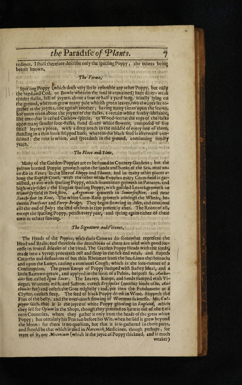 the Paradife ofjPlants. tedious. I {hall therefore defefibe only the rpading Poppy, the others beilig better known. ji, Thi Formed' »- •^7 jti.rr ■- {(j ^ . ..r . . ^ r ^ ^ ' Spalling poppy Cwhich doth very little reremble any other Po|lpy, but only the Seed,and Cod, or Bowie wherein the feed iS contained) hath divers weak t&rider ttalks, full of joynts, about a foot or half‘a yard 10il&,“ bfually lying ori the «T:ound, whereon grow many pale whitifh green leaves,tvvb alwayesTctto-t <ycthef at the joynts, one agaihlf ^nother; having tiiany times upon the l'eav'es> 6utltnore often about the joynts of the ffalks, a certain white frothy lublHhce^ like unto that is called CuckoW-fpittle, orWobd-leerraTthe' tops of the'ftalks iipph many (lender foot-ftalks, Band divers'white flowers, compoled'bf five frtiall leaves i'pfeece, with a deep notch inthe middle of every brie of Weihi flanding in a thin loofe ftripped husk^ wherein the black feed is afterward^tdii’^ cairied: the rO'ot is white, and fpreadeth in the ^Ound, eohtinning fundty ' irj ■ ' Ul/b' J i c^b'Ti. J y:'. ■ ,.J . - ';ii7 [Ijj//'. j ■'! i'jL ■!'?d7a c ^ ' '‘'TheVlAce AnXlitnei -b.:.; ^ . , 1 ’ ^ rhf'rr’'to5- Many of theGarden-Poppies are to be fqmodbin Coun^.Gardens; but the yellow horned Poppie groweth upbn the faiids andbanks^of thd Sea, ncer un¬ to Kk in Xir«f4 In the Iftes of and Fhanepi and in ftiahy othfer places a*- lono' the Englijh Coaft, with the other vvildie Poppies every Gorn-field is gar- niflied, as allb with fpatling Poppy, which fometimes groweth in Pattures, and high-way-fides ;'*the Elegant IpacUng Poppy, with guilded Leavesigrov^cthiri TVqm&Jl^iic\ditiTorkJhtre, ii/£rgemonie in Somerfetfhire\ and liear South-fleet in Kent, trhe white Corn-Role groweth antdngft the Wheir^, be¬ tween Pontfract and Ferry-Fridgei They begin flowring in :Mdy^ and Continue till the end of July x the l^d orchem is ripe preletitly after. cThe Roots of all, except the fpatling Poppy, perifh every year^'and fpriiig agaiireithcr bf their own or others fowing*' » ^ . . r.'o 'I ■■ K:'!' x ' Ij.-'O' - ' The Signature AndVertues, ’ : ^ • • 1 ■ ^ ^ ^ • -i.. The Heads of the Pepptes, with their Crowns do fbmewhat reprdent the Head andBrain, and therefore the decodliohs of them arc hlbd with good fuc- celfe in feveral difdafes of the Head. The Gatdeh Poppy Heads with thfe feed^^ made into a Syrup, procuieth reft and fleep in the fick'Snd weak, and fta^th Catarrhs and defluxiOns of hot thin Rheumes frorh the hcad,into the ftoinack^ and upon the Lungs, caufing a continual Cough, which is the fore-runner of 2 Confumption. The green Knops of Poppy ftamped with Barley Mcal^ and a littleBarrows-gteafe, and applyedinthcfermof aPulcis, hclpeth St. Antho¬ nies fire, called Ignis Sacer, The Leaves, Knops, and Seeds ftamped vvith Vi¬ negar, Womans milk, and Saffron, cufeth (another kindeofSt; AuA fire) and eafeth the Gout mightily ; and, put into ihe. Fufidamenc a'S M Glyfter, caufeth fleep. The feed bf black Poppy drunkin Wine, flbppeth thd Flux of the belly, and the ovef-ihuch flowing bf Womcnslkkneffe. Mr. C»/- prpper faith, that it is the juyee of white Poppy grov^ing in which they fell for Opium in the Shops, though they pretend to have it but of the Ekf- tern Countries, where they gather it only from the heads of the great white Poppy; but certainly his Pen run before his Wit, when he faid it grew beyond the Moon: for there isnoqueftion, but that it isfogathered in thofeparts, andftiouldbethatwhichisufediniV4rm/c‘^Medicines, though perhaps, for want of it, our Meconium (which is the juyceof Poppy thickned, and is much weaker)