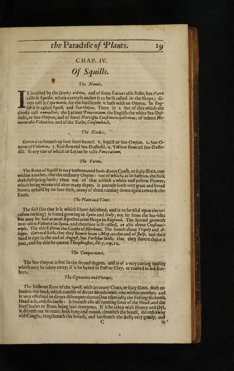 CHAP. IV. Of Squills. 1 The Names» /■ IT is called by the Greeks and of (bme Lathes alfo Scilla'^ but Varrh calls it Squilla, whole example makes it to be fo called in the Shops; di¬ vers call it Cepa marts, for the limilitude it hath with an Onyon. In Ett^- lifhitis czWcdSqufll, znd Eea-0»pu, TtiQtQ is a fort of this which the Greeks call ttapksaIiovj the Latinesthe Englilh the white Sea-Daf¬ fodil, or Sea-Onyon, and of fome Narcijftfs CenfidnthopoUtanHs, of others Hl?- morecaUis Vdentma, and of the Turks, Cortfambach, . The Kindest. Gerrard reckoneth up four forts hereof. 1; Squill or Sea-Onyon. Sea-O- nyon oiTalentia,* 5.Redflowred Sea-Daffodil.4, Yellow flowred Sca-Daffo- dill.’ Every one of which in Latinehe calls Pancratium, m The Forme, The Root of Squill is very bulbous,and hath divers Coa?S, or fcaly films, One within another, like the ordinary Onyon: out of which, as in Saffron, the ftalk dothfirftfpringforth; then ont of that arilcth a white and yellow Flower,; which being waxen old after many dayes, it puttcth forth very great and broad leaves, upheld by no foot-ftalk, many of them turning down again towards the Earth. The Plate andTime^ * • The firft (fot that is it which I have dcfcribed, and is to be Ufed Upon the be- cafion enfuing) is found growing in Spain and Italy, not far from the Sea-fide; but may be had at moft Apothecaries Shops in The lecond groweth near unto Falentia in Spain, and therefore is fb called, as alfb about Confianth nople. The *^hird al^uc the Cqafts oiNarbone', The fourth about Tripoly and leppo, Gerrard faith, that they flower from <JlIapy to the end of Jnlyi and their Seed is ripe in the end but faith, that they flowrc thrice a year, and for this he quotes Theophrafius, Ubq, cap,\2, Ti&f Temperature, } The Sea-Onyon is hot in the fecond degree, and is of a very cutting quality which may be taken away, if it be baked in Paft or Glay, or roatted in hot Em¬ bers.. ^ ' The Signature and Vertues, • rl t The bulbous Root of the Squill, with its many Coats, or fcaly films, doth re- (emble the head, which confifls of divers Membranes, one within another, and is very effe^fual in divers diftempers thereof,but efpccially the Falling-Sicknefs?, Head-ach, and dix/ineffc: It healeth alfb all running fores of the Head jand the ^urf Scales or Bran, being laid thereunto. If it be taken with Honey and Oyl> it driveth out Worms, both long and round, cleahleth the breaft, drivcih away old Coughs, lengchencth the breath, and loofeneth the Belly very gently, and