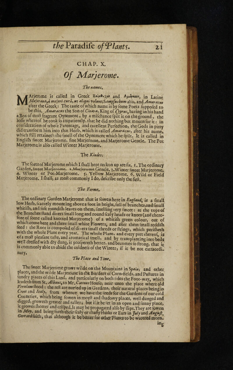 theVdiTAdii^t ofTlant^. zi CHAP. X. Of Mar'jerome. The names t MArjerome is called in Greek and A^afowy^ in Latinq Alajoranaya ma]ori curay m aliqni volmt'iSamffuchHm alio, and Amaracns after the Greek: The caufe of which name is by fome Poets fuppofed to be this. Amaracus the Son of Cinaray King of having in his hand a Box of moft fragrant Oyntment, by a mifchance fpilt it on the ground, the Ioffe whereof he took fo impatiently, that he did nothing but mourn for it: in confideration of whofe Parentage, and excellent Perfedion, the Gods in pitty did transform him into that Herb, which is called Amaracnsy after his name, which ftill tetaineth the fmell of the Oyntment which he Ipilt. It is called in EngUfh fweet Marjerome, fine Marjerome, and Marjerome Gentle. The Pot Marjeromeis alfo called Winter Marjerome. The Kmdesi « ^ The forts of Marjerome which I (hall here reckon up are fix. i, The ordinary Garden,Iweet Marjerome. s.Marjerome Gentle. ^.Winter iweet Marjerome. 4. vyinter or Pot-Mar jerome. 5; Yellow Marjerome. 6. wild or Field Marjerome. I fhall, as moft commonly I do, defcribe only the firft. The Vorme, The ordinary Garden Marjerome that is Ibwen here In England; is a fmall low ^rb, fcarcely mounting above a foot in height, full of branches,and fmall whitilh, and foft roundilh leaves on them, fmelling very fweet: at the tops of the Branches ftand divers fmall long and round fcaly heads or knots (and there- tom of fome called knotted Marjerome) of a whitilh green colour, out of which come here and there fmall white Flowers, and after them fmall reddilh ieed : the Root IS compofedofdi vers fmall threds or ftrings, which perilheth with the whole Plant every year. The whole Plant, and every part thereof, is ofa moft pleafanttafte, and aromaticallm^^^ and by transplanting into beds wen dreCTed with dry dung, it profpereth better, and becomes fo ftroS*-, that ir IS commonly able to abide the coldnels of the Winter, if ic^be not extraordi¬ nary. The Vlace and 7 tme^ The fweet Marjerome grows wilde on the Mountains in and' othec places, and the wilde Marjerome in the Borders of Corn-fields, and Paftures in' iundry places of this Land, and particularly on both fides the Foot-way, which kadeth from St. Albans^x.o Mr. Cottons Houfe, near unto the place where old I ernlami\ood: the reft are nurfed up in Gardens, their natural places being in (^reet and Jtalj, from whence we have the leeds for the Gardens of our cold Countries, which being fowen in moyft and fhadowy places, well dunged and digged, groweth greater and taller i but il it be let in an open and funny place, It growes Ihorcer and crifped.It may be propagated allb by flips.They arc lowen m Mayy ^nd bring lorth their fcaly or chaffy Husks or Ears in July and Angufi^ errardmth, that although it be beltcer for other Plants to be watered morn.