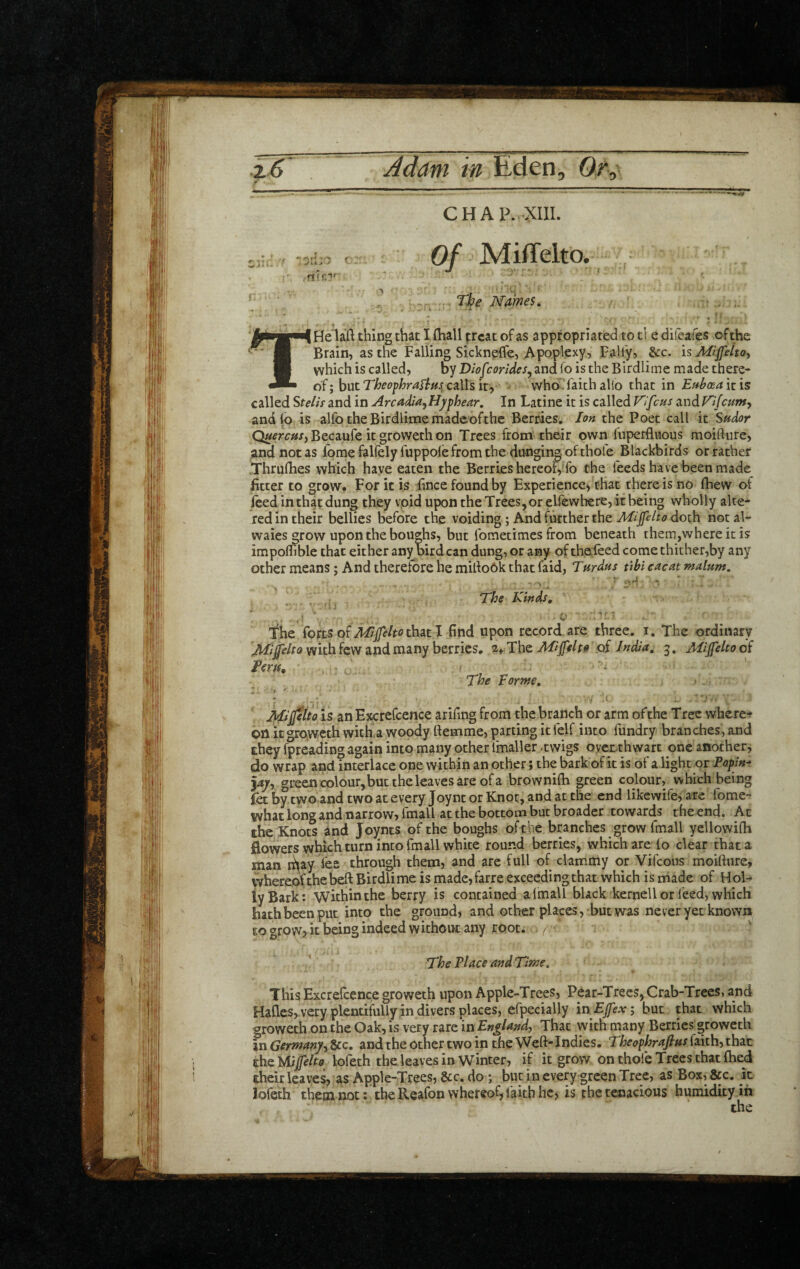 * • - (-1 » ;ia. . ‘ ' • nici' CHAP. •XIII. <: Of Miffelto* > ■ ' ' . . Ti^e Names, I Belaid thing that I (Eall treat of as appropriated to ti e difeafes of the Brain, as the Falling Sicknpife, Apoplexy, FaU'y, &c. hMiffeltoy which is called, by Diofcorldes^ and lo is the Birdlime made there¬ of ; but Theophrastus, calls it, whoMaich alio that in Euboea it is called Stelisand in ArcadiayHyphear, In Latine it is called Vlfcus a.ndT'ifcunty andio is alfo the Birdlime madeofthe Berries. Ion the Poet call it Sudor Q«^rc»/,BeGaufe itgrowethon Trees from their own fuperfluous moiflure, and not as fome falfelyfuppole from the dunging of thofe Blackbirds or rather ^Thrulhes which have eaten the Berries hereoffo the feeds have been made fitter to grow. For it is fince found by Experience, that there is no fhew of Iced in that dung they void upon the Trees,or elfewhere, it being wholly alte¬ red in their bellies before the voiding; And further the AHJfelto doth not al- waies grow upon the boughs, but fometrmes from beneath them,whereitis impoffible that either any bird can dung, or any of thefeed come thither,by any other means; And therefore he midoOk that faid, Turdus ubi cacat malum. > ' ^ ' • The kinds. The forts of A^/f/r<?thatI find upon record are three, i. The ordinary Mi felt 0 with few and many berries, a* The Mifel to .of India, 3. Mifelto of Pm/, • . The Forme, . » ^ : . • . -t- . ■■ Mtjjeho is an Excrefcence arifing from the branch or arm of the Tree whereof’ on itgroweth with,a woody demme, parting it felf into fundry branches, and they fpreading again into many other fmaller -twigs oyet thwart one another j do wrap and interlace one within an other; the bark of it is of a light or Papjn^ %ajy green colour,but the leaves are of a brownilb green colour, which being fet by two and two at every Joynt or Knot, and at the end likewife, are fome- wbat long and narrow, fmall at the bottom but broader towards the end. At the Knots and Joynts of the boughs ofthe branches grow fmall yellowifb flowers which turn into fmall white round berries, which are lo clear that a man ri\ay fee through them, and are full of clammy or Vifeous moifture, whereof the bed Birdlime is made,farre exceeding that which is niadc of Hol¬ ly Bark: within the berry is contained alinali black kernell or feed, which hath been put into the ground, and other places, but was never yet known CO grow? it being indeed withouc any root. ( ' ■ The place and Time. This Excrelcence groweth upon Apple-Trees, Pear-Trees, Crab-Trees, and Hades, very plentifully in divers places, efpecially inEfexi but that which groweth on the Oak, is very rare 'mEnglandy That with many Berries groweth in Germany^ 8cc. and the other two in the Weft-Indies. Theophrafius faith, that the lofeth the leaves in Winter, if it grow on thofe Trees that fhed their leaves, as Apple-Trees, &c. do ; but in every green Tree, as Box, &c. k Jofeth them not: the Reafon whereof, faith he, is the tenacious humidity in the