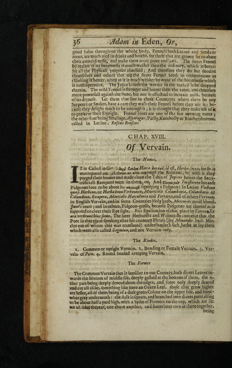 3(5 Adam in good habit throughout the whole body. Fennell both Leaves and Seeds or loots, are much uled in drinks and broths, for thofe that are grown fat to abate their unweldineCfe, and make them mo/e gaunt and lank. The fweet Fennel by reafon'of its fweetneffe is much weaker then the ordinary, which is better for all the Phyficall purpofes aforelaid; And therefore they do but deceive themfelves and others that ufethe fweet Fennel S^ed, in compolitions as thinking it better, when as it is much weaker by Want of the bitternelfe which is moft operative. The juyee killeth the worms iri the ears, if it be dropped therein. The wild Fennel is ftronger and hotter then the tame, and therefore more powerful! againft the done, but not fo effe(d:ual to increafe milk, becaufe ofitsdrynefs. Let them that live in thofe Conntryes where there be any Serpents or Snakes, have a care they wafh their Fennel before they ufe it: be- caufe they delight much to be amongft it; it is thought that they make ufe ofk to preferve their Eyefight. Fennel roots are one of the five owning roots ; the other four being Smd.\\zoQ,Afpara£m, Parfly,Kneeholly or ButchersBroom, called in Latine, Rufem Bmfeus CHAP, xyiii. 1 ( Of yervain. A The Names, IT is Galled in k,f*£5t Hiera hotani, id efi^ H£rha [acra^ for fo it: was reputed am _ all them as alfo amongft the Romans; for with it they purged their houfes and made clean the Table of Jupiter before the Sacri- crificiall Banquets were fet thexQ^. on^ And becaufo Pidgeonslove to be about it, fignifying a Pidgeon: In Latine Verbena Herbena^otHerbabonaVerbenaca-jAfatricalis Columbaria^ CMumbaris or Columbina^ Exupera^ Ndartialis Herculania and Ferraria'^ztid of others VcYvena, in Englifh Vervain,and in fome Countries Holy herb, blood, Jmo's tears; and in others, Pidgeon-graffe, bccaufo Pidgeons eat thereof as is iiippofed to clear their Eye fight. For Epxlication of that place in Terenct^Fx ara verbenas hincfutne-i.T\it\ditQt HerbarUis and Writers do conceive that the Poet in that place fpeaking after his countrey Phrafe (for Menander hath Mir- ties out of wiiom this was tranflated) underftandethluch^herbs as lay there which were alfo called Sagmina^^ and not Vervain- only^ The Kindes, xl Commoner upright Vervain. 2. Bending or l^emale Vervain, 3. Ver¬ vain of 4. Round headed creeping Vervain, , ( The Formei The Common Vervain that is familiar to our Country,hath divers Leaves to¬ wards the bottom of middle fife, deeply gafoed at the bottom of them, the o- ther part being deeply dented about the edges, and fome only deeply dented and cut all alike, fomething like unto an Oaken Leaf, thofe that grow higher arcleCferjall of them being of a dark green Colour on the upper fide, and Ibme- what gray underneath: the ftalk is fquare, and branched into divers parts,rifing to be about halfa yard high, with a Spike ofFlowers on the top, which are fee all fides thereof, one alwve another, and fometimes two or three together, “ ^ - ‘ ^ ^ ■ being