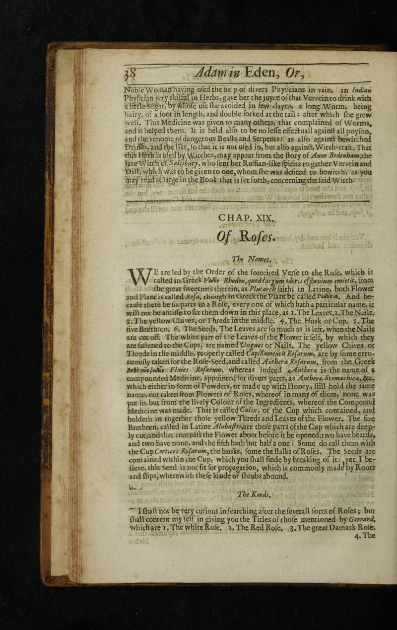 NbbleWomail having uled the help of divers Phyficians in vain> an Indian Phyficiaii very skilfnl in Herbs, gave her the juyce of that Verveinto drink with klime^Siigar^by^ridfe life flie avoided in few dayes, a long Worm, being hairy, of a foot in length, and double forked at the tail: after which Gie grew well. This Medicine was given to many otheES, that complained of Worms, and it helped them. It is held alfo to be no leffe effeiifuall againlf all poyfon, and the venomepfdangerousBeafts, and Serpents : as alfo againd bewitched Dri^^lts, and the like, fo that it is not ufed in, but alfo againft, Witch-craft. That this H^ibis uied by,Whtcbcs^i^ay appear from the ftory of Anne Bodenham,zhc late’^itth of'‘5^//^4^^,,who fent her Rulfian-Uke fpirits to gather Vervein and Dilly.vyhic^h was tobegiventoonejwhomfhewasdefired to bewitch, as you hiay*teadit largein theBook that is fetforth, concerningthefaid-Whch. 1' ‘I’' - ' . , , . ... -ir ' • V ^ . ' , I - , • . ') I'iH.i'*i,yiri IMJ •iiijt ' M-ti ■•jli.i..- ■ Ij , - I - - — CHAP. XIX. OfKofes. X T The Names, WE are led by the Order of the forecited Verfe to theRofe, which is tailed in Greek p*oi/iV Rhodonj^nodlar^Um odofis effluvium emlttlt, from. 1'the great Iwcetnefs therein, as faith; in Latine, both Flower and Plant is called though in Greek the Plant be And bc- caufe there be fix parts in a Rofe, every one of which hath a particular name, it will not be amiCfe to (et them down in this place, a,s i .The Leaves.a.The Nails; 5. The yellow GhiveSj or-Threds in the middle. 4. The Husk or Cup. 5. The hve Brethren. 6, The Seeds, The Leaves are lb much as is left., when the Nails are cut off. The white part of the Leaves of the Flower it felf, by which they are fallened to the Cups, are named or N^ils. The yellow Chives , or Threds in the middle, properly called Capllamehtd Rofarum, are by fome erro- neoully takeiifor the Rofe-Seed,and called Anther a Rofarumy from the. Greek iwvpeJ^p Flores Rofarumy whereas indeed zAnthera is the name of a compounded Medicine, appointed for divers parts, as Anther a StomachlcAyBcc, which either in form of Powders, or made up with Honey, ftill hold the fame name, not taken from Flowers of Rofes, whereof in maiiy Of them, none was put in, but from the lively Colour of the Ingredients, whereof the Compoundl Medicine was made. That is called or the Gup which contained, and holdeth in together thofe yellow Threds and Leaves of the Flower.. The five Brethren, called in Latine-^/<?^<i/r/,are thole parts of the Cup which are deep¬ ly cut;and that compafs the Flower about before it he openedjtwo have beards, and two have none, and the fifth hath but half a one: Some do call them with the Cup Comcf; the husks, fome the ftalks of Roles. The Seeds are contained within the Cup, which you fhallfinde by breaking of it: yet I be¬ lieve, this Seed is not fit for propagation, which is commonly made by Roots and flips, wherewith thefe kinde of flirubs abound. '' The Kinds, I (hall not be very curious in fearching after the feverall forts of Rofes; but (hall content my felf in giving you the Titles of thofe mentioned by Gcrrard, which a re i. The white Role, 2, The Red Rofe. .3, The great Damask Role. 4, The