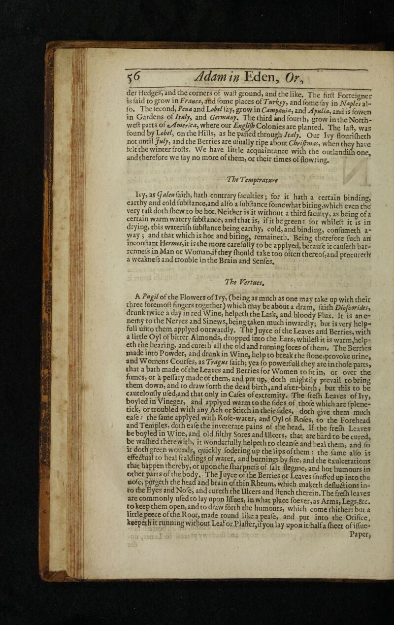 der Hedges;and the corners of wall ground, and the like. The firll Forreioner is laid to grow in Vrnnce^ and fome places of Turkey^ and fome fay in NayUs al¬ io. The lecond, Venai and Ubd lay, grow in Campania, and Apftlia, and is rowen in Gardens oiltaly^ and Germany. The third Mid fourth, grow in the North- wed parts of ^merica^ where our EngUJh Colonies arc planted. The lad, was found by on the Hills, as he paffed throughOur Ivy flouridietb not until >//, and the Berries are ufually ripe about Chrifimof, when they have felt the winter frods. We have little acquaintance with the outlandifh one and therefore we fay no more of them, or their times of flowrin? The Temperature Iv’y,as5^/^»jaith,hath contrary faculties; for it hath a certain binding, earthy and cold fubdance,and allb a lubdance fome what bitin^,which even the very tad doth fliew to be hot. Neither is it without a third faculty, as bein<’ of a certain vvarm watery fubdance, and that is, ifitbegreen: for whiled it is in drying, this waterifli fubdance being earthy, cold, and binding, confumeth a* way ; and that which is hoc and biting, remaineth. Being therefore fuch an incondant Hermes^it is the rnore carefully to be applyed, becaufe it cauleth bar- rennels in Man or vyoman,if they dioiild take too often thereofjand procureth a weaknefs and trouble in the Brain and Senfes. The Vertues, A Pngil of the Flowers of Ivy, (being as much as one may take up with their three loremod fingers together) which may be about a dram, faith Diofcorides^ drunk twice a day in red Wine, helpeth the Task, and bloody Flux. It is an e- nemy to the Nerves and Sinew^>being ijaken much inwardlyj but is very help- full unto them applyed outwardly. The Juyce of the Leaves and Berries, with a little Oyl of bitter Almonds, dropped into the Ears, whiled it is warm,help- eth tne hearing, and cureih all the old and running fores of them^ The Berries made into Powder, and drunk in Wine, help to break the done,provoke urine, and Woinens Courfes, as Tragus faith; yea fo powerful! they are inthofe parts, that a bath made of the Leaves and Berries for W^omen to fit in, or over the fumes, or a peffary made of them, and put up, doth mightily prevail to bring them down, and to draw forth the dead birth,and after-birth; but this to be cautelouflyured,and that only in Cafes of extremity. The frefli Leaves of Ivy, boyled in Vineger,^ and applyed warm to the fides of thofe which arc fplene- tick, or troubled with any Ach or Stitch in their fides, doth give them much eafe: the fame applyed with Rofe-water, and Oyl of Rofes, to the Forehead and Temples, doth eafe the inveterate pains of the head. If the frefh Leaves be boiled in Wine, and old filtliy Sores and Ulcers, that are hard to be cured, be warned therewith, it wonderfully helpeth to cleanfe and heal them, and fo It doth green wounds, quickly foderingup thelipsofthem: the fame alfo is efteaual to heal fcaldings of water, and burnings by fire, and the exulcerations that happen thereby, or upon the fharpnefs of fait flcgme, and hot humours in other parts of the body. The Juyce of the Berries or Leaves fnuffed up into the j ^ hqad and brain of thin Rheum, which mal;(eth defluiflions in¬ to the Eyes and Nole, and cureth the Ulcers and flench therein,The frefh leaves are commonly ufed to lay upon Iffues, in what place fbever, as Arms, Le°'s,&c. to keep them open, and to draw forth the humours, which come thither? but a little peece of the Root, made round like a peale, and put into the Orifice, keepeth it running without Leal or-Plafler,ifyou lay upon ichalf a fheet of iffue- , , - Papery