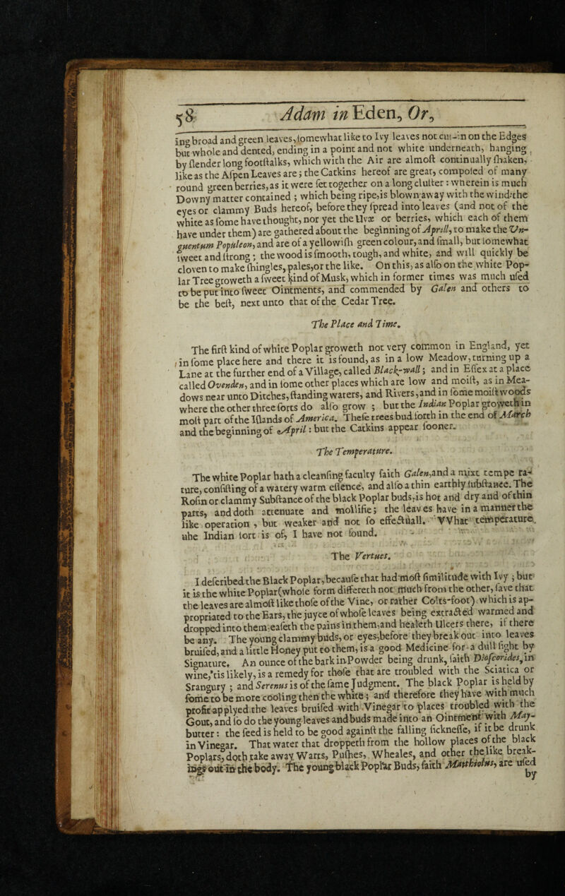 ■ 1., I.— broad and green leaves,lomewhac like to Ivy leaves not cut-in on the Edges but whole and dented; ending in a point and not white underneath, hanging, by {lender ion^^footllalks, which with the Mr are almoft continually fhaken, like as the Afpen Leaves are j the Catkins hereof are great, compoled of many, round ^reen berries,as it were fet together on a long duller: \y herein is much Downy°matter contained ; which being ripe,is blowiraway with the wind.-thc eyes or clammy Buds hereof, before they {pread into leaves (and not of the white as fome have thought, nor yet the Uvx or berries, which each of them have under them) are gathered about the beginning of to make the Vn- auentHm Pomleon, and are of a yellowifta green colour, and fmall, but lomewhac 'meet and Itrong*, the wood is fmooth, tough, and white, and will quickly be cloven to make {bingles,pales,or the like.^ On this, as alfo on the white Pop¬ lar Tree trroweth a fweet^ind of Musk, which in former times was much ufed tobepufintorweet Ointments, and commended by C^Un and others to be the beft, next unto chat of the Cedar Tree. The Place and 7 ime. The firft kind of white Poplar groweth not very common in England, yet , in fome place here and there it is found, as in a low Meadovv, turning up a Lane at the further end of a Village, called BUckry^all; and in Effex at a piace called and in lome other places which are low andmoilt, as in Mea¬ dows near unto Ditches,(landing waters, and Rivers,and in fomemoiltwo^s where the other three forts do alfo grow ; but thePoplar growth in moll part of the Bands of America, Thefe trees bud lorth in the end of March and the beginning of ft/Afril • but the Catkins appear ooner. The Temperature, The white Poplar hath a cleanfing faculty faith Galen^ti nd ^ ^V^t cempc ra-« ture, conhfting of a watery warm eifence, and alfo a thin earthly (ubftanee. The Rofinor clammy Subftanceof the black Poplar buds,is hot and dry and of thin parts, and doth attenuate and Tnoilifie; the leaves have in a manner the like operation , but weaker and not fo effefluall. What tetnp^xature., uhe Indian lore is of, I have not found. - r, r « , The Vertues, I deferibed the Black Poplar,becaiifc that had moft fimiUtude with Ivy j but it is the white Poplar(whole form differeth not much from the other, (ave that the leaves are almoft like thofe of the Vine, or rather Colts-foot) which is ap¬ propriated to the Bars, the juyee of whofe leaves being extraaed warmed and dropped into them-eafeth the pains in them,and heaVeth Ulcers there, ft there be any. The young clammy buds, or eyes,before they break out into leaves bruired,andalittleHoneyputcothem,isa good Medicine for*a duUlight by Signature, An ounce of the bark inPowder being drunk, laith mfeondes^m wine,*ds likely, is a remedy for thofe that are troubled with the Sciatica or SrancTury ; and is of the fame Judgment. The black Poplar is held by fomc°to be more cooling then the white; and therefore they hav^ with much proftcapplyed.the leaves bruifed with Vinegar to places troubled vvith the Gout, and fo do the young leaves and buds made into an OintmeW with May- butter: the feed is held to be good againft the falling ficknelfe, if it be drunk in Vinegar. That water that droppethfrom the hollow places ot the blacic Poplars^ doth take away Warts, Pufties, Wheales, and other tbe^^^ iiilsouttn'ihebody. the young black PoplUr Buds, faith are ufed