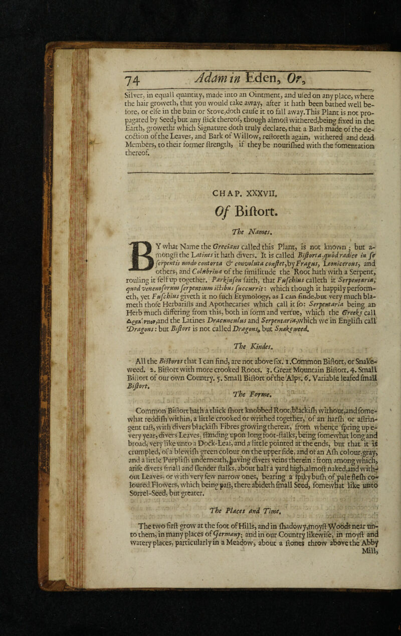 Silver, in equall quantity, made into an Ointment, and uled on anyplace, where the hair groweth, that you would take away, after it hath been bathed well be¬ fore, or elfe in the bain or StovCjdoth caufe it to fall away.This Plant is not pro¬ pagated by Seed- but any flick thereof, though almofl withered,being fixed in the Earth, groweth: which Signature doth truly declare, that a Bath made of the de- coflion of the Leaves, and Bark of Willow, refloreth again, withered and dead Members, to their former flrength, if they be nouriflied with the fomentation thereof. CHAP. XXXVII. Of Biftort. The Names, By what Name the Grecians called this Plant, is not knOwn ; but a- mongft the it hath divers. It is called Bifiorta-.quodradice in fe ferfentis modo contorta & convoluta confiet-fo'^FragaSy \.eoniceroHS-f and others, and Colfibrina of the limilitude the Root hath with a Serpent, rouling it I'elfup together. Tarkfafon faith, that Fufchins calleth it Serpentaria). ejHod venenoforum ferpenttum iBibus fuccurrit' which though it happily perform¬ er h, yet Fufchius giveth it no fuch Etymology, as I can finde,but very much bla- metb thofe Herbarifls and Apothecaries which call it fo; Serpent aria being an Herb much differing from this, both in form and vert'ue, which the Greeks call £^^kAvov)0.nd the Latines Dracmculus and Serpentariaywhich we in Englifh call T)ragons: but Bifiort is not called Dragons^ but Snakpweed, TTjc Kindes, All the Eifborts that I can find, are not above fix. 1 .Common Biflort, or Snake¬ weed. 2. Biflort with more crooked Roots. 5. Great Mountain Biflort. 4. Small Biftort of our own Country. 5. Small Biftort of the Alps. 6. Variable leafed fmaU Biftort, ' The Forme, ' Common Biflort hath a thick fbort knobbed Root,biackifli without,and fome- what reddifh within, a little crooked or writhed together,' of an harfli or aflrin- gent taft, with divers blackifli Fibres growing thereat, frorti whence fpring up e- very year, divers Leaves, flknding upon long foot -ftalks, being fomewhat long and broad^j very like unto a Dock-Leafj and a little pointed at the ends, but that it is crumpled, of a blewifh green colour,on the upper fide, and of an Afh colour,gray, and a little Purplifh underneath, Jiaving divers veins therein: from among which, arife divers fmall and flender ftalks, about half a yard high,almofl naked,and witfif out Leaves, or with very few narrow ones, bearing a Ipikybufh of paleflefhco-* loured Flowers, which being paft, there abideth fmall Seed, fomewhat like unto Sorrel-Seed, but greater. The Places and Time, The two firft grow at the foot of Hills, and in fbadowy,moyft Woods near uh- to them, in many places of and in our Country likewife, in moyfl: and watery places, particularly in a Meadow, about a fiones throw above the Abby Mill,