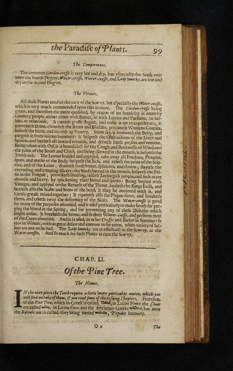 “The T'emperatfire, The common Garden-crejfe is very hot and dry, but efpecially the Seedj near nnto the fourth Degree, l^ater-erejfey PVwter-creJfe, and Smckj, are hot and dry in the I'econd Degree; The VertueSi All thefe Plants tend to the cure of the ^cnrvy, but efpecially the mter-cre(fe, which IS very much commended upon this account. The Carden-creffe bein^ green, and therefore the more qualified, by realbn of its humidity is eaten by counrry people, either alone with Butter, or with Lettice and Purllane, in Sal¬ lees, or othervYile, It cutteth grofle flegme, and make it apt to expedorate- it provoketh Urine, cleanl'eth the Reins and Bladder, procureth Womens Courles, ki lleth the birth, and llirreth up Venery. Some fay, it loofeneth the Belly, and purgeth It from vifcOus humours; it helpeth the Obftruaions of the Liver and Spleen,^ndheaieth all inward wounds, and driveth forth poyfon and venome. Being taken vyith OyI,it is beneficiall for the Cough,and iKortnefle of Wind, and me pains of the Brealt and Cheft; and being chewed in the mouth, it helpeth the 1 ooth-ach. The Leaves bruifed and applyed, take away all Freckles, Pimples, Ipots, and marks of the Body, helpeth the Itch, and eafeth the pains of the Scia¬ tica, and of the Loins; draweth forth bones, fplinrers, and thorns; ftayeth the corroding and creeping Ulcers: the Seed chewed in the mouth, helpeth the Pal- fie in the Tongue ; provoketh frieeling, raifeth Lethargick people,and fuch as are drowiie and heavy, by quickening their blood and fpirits: Being boyled with Vinegar, ^d applyed to the Kernels of the Throat, healeth the Kings Evill, and healeth alfo the Scabs and Sores of the head, if they be anointed with it, and Goofe-greafe mixed together: It ripeneth alfo the Plague-fores, and breaketh them, and taketh away the deformity of the Nails. The 'Water-creffe is ^ood for many ofthe purpofes aforefaid, and is ufed particularly to make broth for°pur- ging the blood in the Springs and for preventing any of thefe Difeafes which might enfue. It breaketh the Stone, and fo doth TJinterfere(fe, and perform moll ofthe Cures aforefaid. And it is ufed, as Other Crejfes and Rocket in Summer: fo this in Winter, with as great defire and content to be eaten, when variety of Sal- lets are no^o be had. The l.adj/ Smockj are as effefluall in the ScHrvj-, as the \\ater-crejfes. And fo much for fuch Plants as cure the Scftrvy, CHAP. LI. ofthe Tine Tree. The Names, IN the next place theTeeth require a little ;more particular notice, which you will find we take of them, if you read fame ofthe enfuing Chapters, Firft then, ofthe Pine which in Greek is called, in Latine Pinus: the (fo^es are called K«>roi, in Latine Com, and the Ancienter Greeks but now the Kernels are fo called, they being named tardthe, Titjidey formerly, Q a \ The