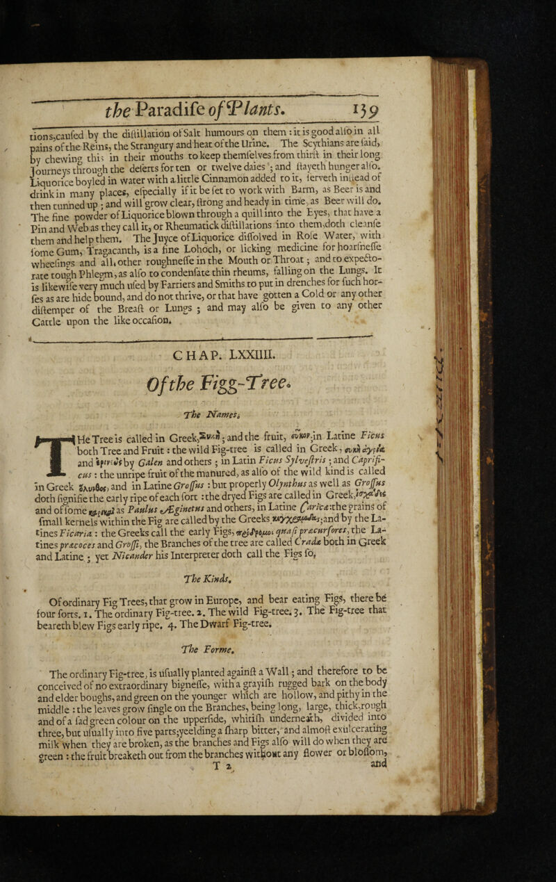 ^^eParadifeo/9^/^^»f^. tionsjcaufed by the dilUllauon ofSak humours on them: it is good allb in all pains of the Reins, the Strangury and heat of the Urine. The Scythians are laid, by chewin^^ this in their mouths to keep themlelves from thirll in their long 1 ourncys throu^^h the delerts for ten or twelve dales ; and^ llayeth hunger alio. Liquorice boyled in water with a-little Cinnamon added to it, lerveth inliead of driiikin many places, efpecially ifitbefetto work with Barm, as Beer is and then tunned up • and will grow clear, rtrong and heady in time, as Beer will do. The fine powder of Liquorice blown through a quill into the Eyes, that have a PinandWebastheycallit,orRheumatickdiftillations into them,doth cleanle them and help them. The Juyce of Liquorice diffolved in Rofe W ater, with lomeGum, Tragacanth, is a fine Lohoch, or licking medicine forhoarlnefle wheefines and alb other roughneffe in the Mouth or Throat j andtoexpeao- ratetou^hPhlepm,as alfo to condenfate thin rheums, iallingon the R is likewife very much ufed by Farriers and Smiths to put in drenches for iuch hor- fes as are hide bound, and do not thrive, or that have gotten a Cold or any other diflemper of the Bread or Lungs ; and may alfo be given to any other Cattle upon the like occaiion. CHAP* LXXIIIL Figg~Tree> The Namesi T He Tree is called in Greek,2y4. and the fruit, Latine Ficus both Tree and Fruit: the wild Fig-tree is called in Greek, and «pfi'?*7fby Gden and others ; in Latin Ficus Syhefiris -and Capri fi¬ cus : the unripe fruit of the manured, as alio of the wild kind is called in Greek inUtmcGrcffus : but properly as well as GroJJ^us doth fi?nifie the early ripe of each fort: the dryed Figs are call^ in Greek,^ and of fome as Paulus ^ginetus and others, in Latine C^^riCA :the grains of fmall kernels within the Fig are called by the Greeks,JuyxeJ'f«^^^and by the La- tines : the Greeks call the early Figs, ^^<rp(5^t the La- tines ^ndGrtfJJi) the Branches of the tree are called Crudx both in Qreek and Latine, • yet Nicauder his Interpreter doth call the Figs fo, The Kinds, OfordinaryFic^ Trees, that grow in Europe, and bear eating Figs, there be four forts. 1. The ordinary Fig-tree. a. The wild Fig-treci^, The Fig-tree that bearethblew Figs early ripe, 4. The DvVarf Fig-tree, The Forme, The ordinary Fig-tree, is ufually planted agaiiift a Wall; and therefore to be conceived of no extraordinary bigneffe, withagrayifh rugged bark on the body and elder boughs, and green on the younger which are hollow, and pithy m the middle : the leaves grow Tingle on the Branches, being long, large, thick,rough and ofa lad green colour on the upperfide, whidlh underneath, divided into three, but ufually into five parts;yeelding a fbarp bitter,and almoft exiilceratihg milk when they are broken, as the branches and Figs alfo will do when they at^ «^reen ; the fruit breaketh out from the branches witho« any Bower or blofiom, T 2
