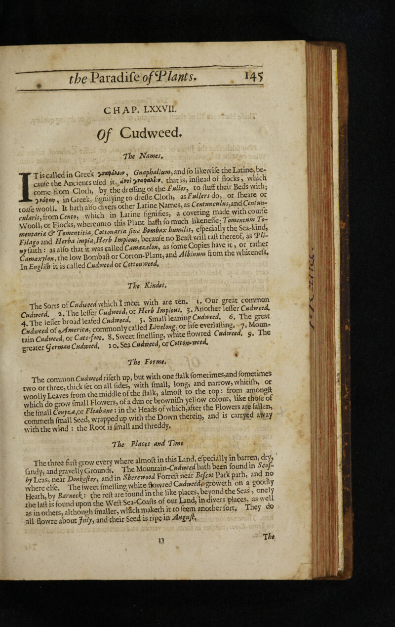 CHAP. LXXVII. Of Cudweed. The Names, IT U railed ill Greek , Gnaphallum-, and lo Ukevyife theLatine,be* ^ , hrAnri^n,T«fed it thatis,infleadot flocks, which IhedtiingoitheF^//.;, to fluff their Beds with; in Greek, f,gnil)'ing to dreffe Cloth, as F»//<rJ do, or ^ toife wool! It hath alio divers other Latine Names, as Ce>amct<l«s,mdCeniun- from C«t», which in Latine fignifies, a covCTing ma^ with courle Wooll’, or Blocks, whereunto this hath metaru & TomemhU, CottoMria five Bmbeix ImmU, , ^ ^ nuea md Herba impia.Herb ImpoHS, becaufe no Beaft will tall theteol, as J ' r ftih asXthat it v;as called as fome Copies have it, ot rather llmfxihn, the low Bombaft or Cotton-Plant, and Alb,mm from the whitenels. l\\Engli{fi it is calledor Cottonweed, The Kindest The Sorts of which I meet with are tdn. t. Out great co^on ine sorts Cuhveed, or Herb Imf iem. 3. Another leffer Cxdweed. 5. Smallleaning.C«W d. The great ^;Sofa^-nL,commonlycalk ,i.mC«dreeed,orCate-fm. 8.SweetImelling,whiteflowred C»d»r«<(. 9, me greater gerwM Cudweed, i o. Sea Cudweed, ot Cettm-weed. % The Formti The common Cudweed rifeth up, but with one flalk fomecinies,and twoorthme!thiklbtonallfides, with fmall, long, and narrovv,whiti(h, or irolW LeTv% from the middle of the flalk,almpft to the top: trom amongft ivhicddo orow fmall Blowers, of a dun or brownilb yeh.ow colour, like thole of The fmall O»ye.«,or Fleabaue: in the Heads of which,aftet the Blowers are falkn, commeth fitiall Seed, wrappedup with the Down therem, and is carrye_ aw y with the wind : the Root is ihriall and threddy. The Places and Time The three firft n ow every where alraoft in this Land, erpedally in bawen, drv, raiS,andgravellyGroundJ. The Mo«ntam-C«W hath been fou^^^ hv T eis near Donkefler^ and in Sherervood Forreft near Bffcot Park path, no v4ereelfe.‘ The b^et fmelling white fkwredC«dw«dj.grovv on a go^ y toth, bv Burueeh the tell are found in the like places, beyond the Seas, one y S iJfounduponfhe Weft Sea-Coafls of our Land, indivers^ as in others, although fmaller, which maketh it to feem another lort. They do all flowre about and their Seed is ripe m FI