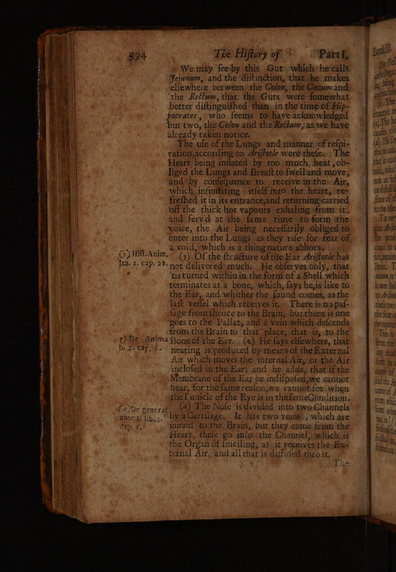 B94 The Hiftory of ~~ . “Pavel, We may feeby this Gut ‘which’ he calls Fejunum, and the dittinétion, that he makes ‘elfewhere between) the Coloz, the Cacum and ‘the Reéfum, that the Guts were fomewhat bit better diftinguifhed than, in the time of:Aip- it pocrates, who feems to have acknowledged || bur two, the Colon and. the Rectum, as we have a already taken notice. Omemees i The ule of che Lungs and manner ,:of refpis Bee | ration,according to Arijfforle were thefe.. The mea Heart being inflated by too much, ‘heat , ob- Ot liged the Lungs and Breaft to {welltand move, and’ by confequence to receive inthe». Air, Ay which infintating itfelf into the heart, re- ‘| a frefhed it in its entrance,and returning: carried o ‘off the thick hot vapours exhaling -from >it. et and fervd: at. the ss time to form ‘the Ts a voice, the Air being necefiarily obliged to au) | enter into the Lungs as they rife’ for fear of Bae | pn... avoid, which is. a thing nature abhors.’.\-! bie 0) Hitt Anim, (y) OF the Rruéture of the Ear Arijtorle has Da, | HG. I, CaP. 21; noe delivered much. He obferves only, that | ‘tisturned within in the form of a Shell which terminates at.a bone, which, fays he,is like to the.Har, and whither the found comes, .as the Ry Taft: vetlel which receives it... There is nopaf- ‘i {age from thence to the Brain, bucthere is one nt ted boes to the Pallat, and a vein which defcends | ! | from the Brainto that place, that. is,.to the ie z) De Anima Roneof the Ear... () He fays elfewhere, that ea 2, CaP. e+ tearing is ‘produced by means of the External ws Aur which moves the. internal Air,or the Air ta inclofed inthe Ear; and he: adds; that if the | Wlerbrane of the Ear be indifpofed,we cannot panies hear, for the fame reafon,we cannot fee ,when \ theTunicie of the Eye is in thefameCondition. i f2)De ener (4) The Nofe “is divided ‘into two Ghannels Brot satmal lib, 2° Dye wattage.’ Ic has rwo veitis, ; which are hie te cao, 6°» Jouned “to the. Brain, ‘but they come from the wi : Heart, thele go anio) the Channel; which is uty the Organ of {melling, aS at receives the Hix- Ait ternal Air, and all that is diffufed thro it, 2 — <2 vt Phe BR tha en ae rhat it coll cold whit not. at. tin of dit flure of t to the Met Tis ver thar Ari the prod could he 3 ficeretain Bran, T AROMA, OF lower Bell to Ariat] thele two the Seat of the vapour T hie a i} | &amp; MD may Yl