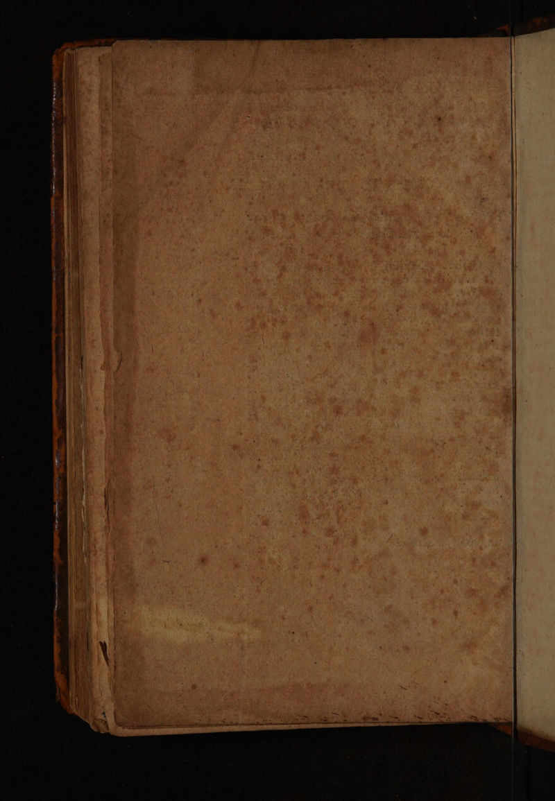 Seeeen wer oe < aon Sarees a LATTy : . Ae hes a eet Remit acne BA eames