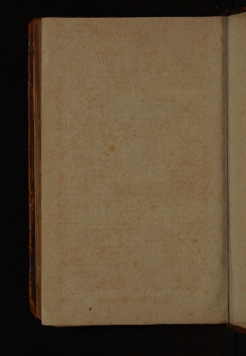 ms CNS ae on Afus a +. y e , © = ° erry ARR lS Ea tn coe NB dash NNN ANI: ee, Oe Nea ee Lt XE ia etn