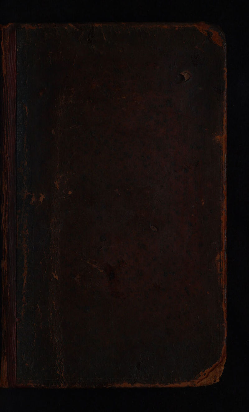 Ay ; { yee ih | i a Foe tae 4 'O Spree re ets She arenes Fe ise oe Bee iki a 8 a re, ae