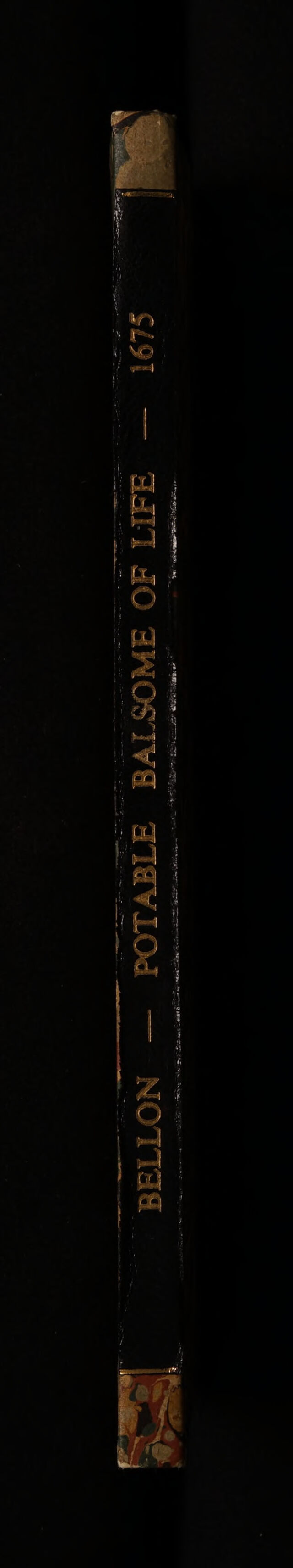 No text description is available for this image