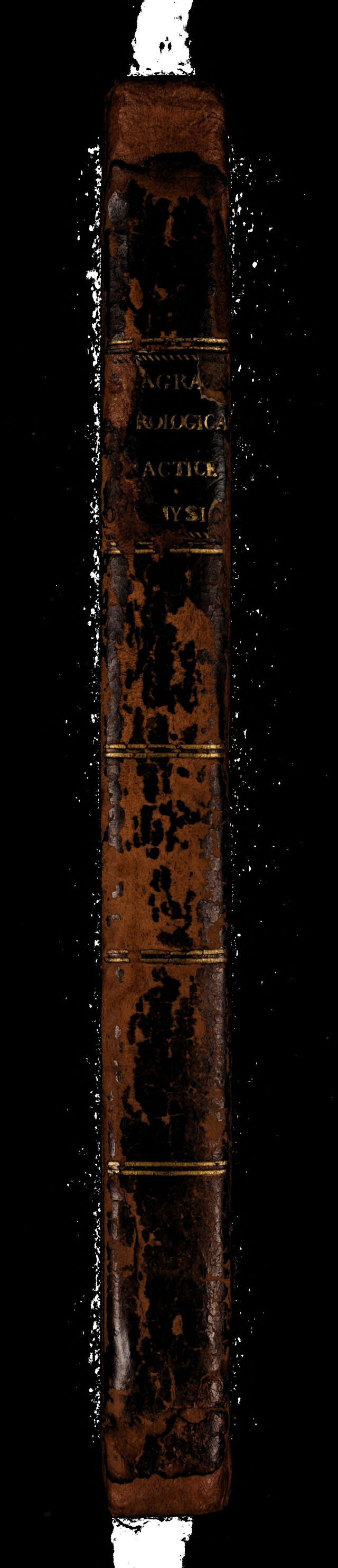 No text description is available for this image