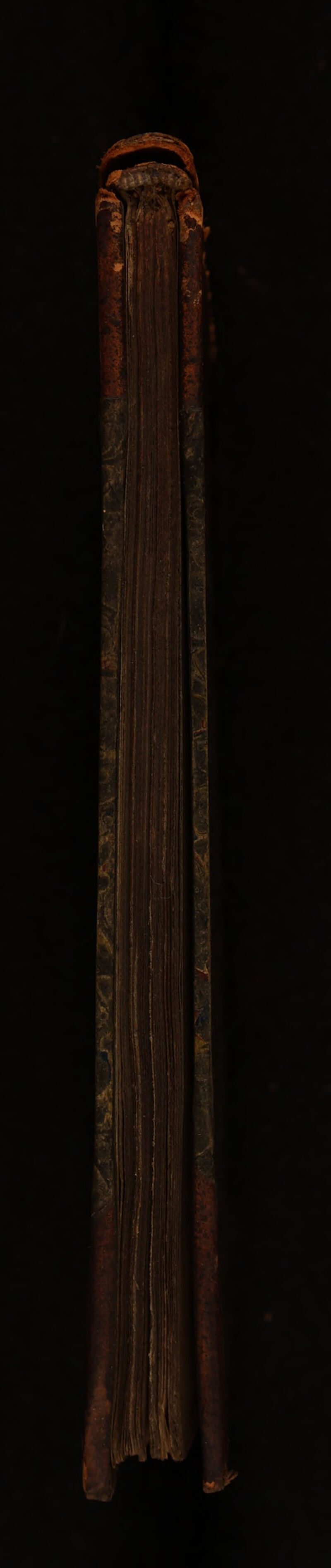 No text description is available for this image