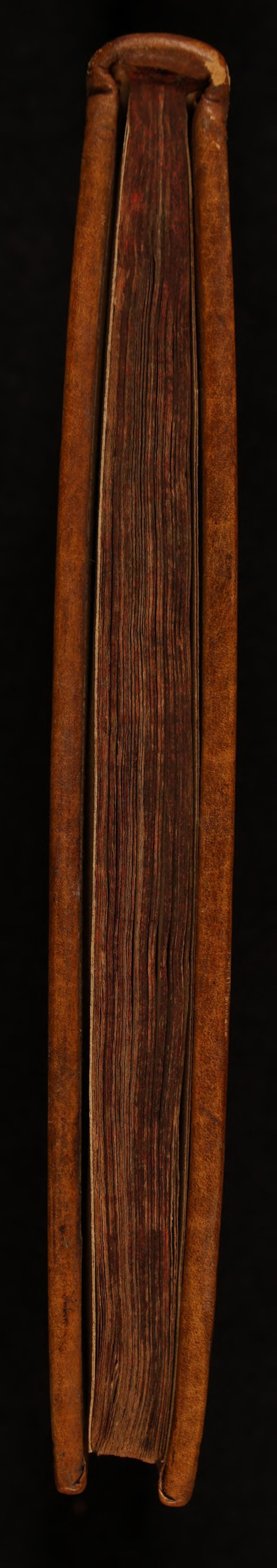 No text description is available for this image