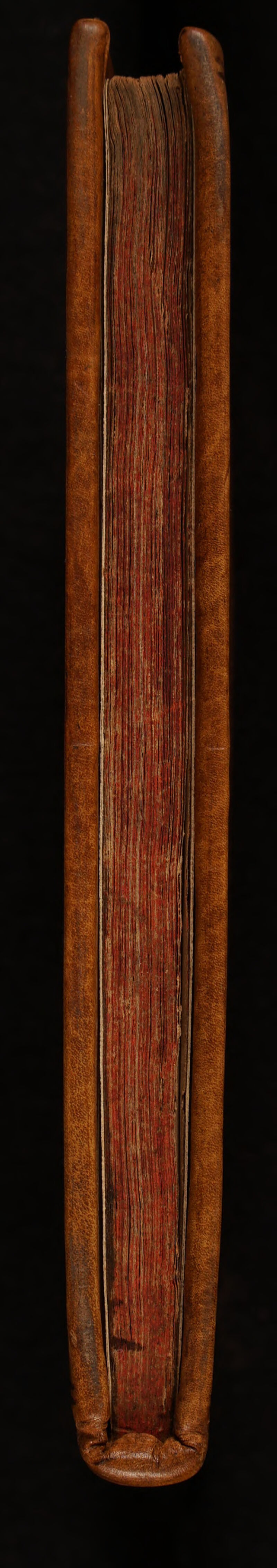 No text description is available for this image