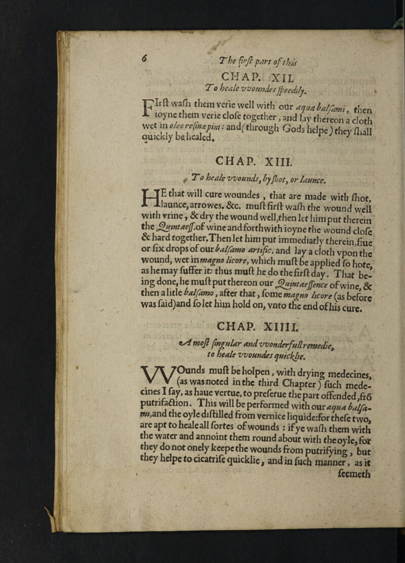 CHAP. XII. To beak vvoundes jpeedih. jCLft waflj them verie well with our aqaabaljkmi, then JL toyne them verie clofe together, and hy thereon a doth s,s;t;Sr: Gois **» **« CHAP. XIII. f To he ale wounds, byJhot, or launce. HE that will cure woundes , that arc made with /hot, launce, arrowes. See. muft firfr wa/h the wound well with vrine , & dry the wound welhthen let him put therein the gumtaef of wine andforthwithioyne the wound clofe & hard together.Then let him put immediatly thereimfiue or fix drops of our balfamo arts fie, and Jay a cloth vpon the wound, wet in tnagno licore, which mud be applied fo hofe ashemay fufFer it: thus mud he do thefirftday. That be¬ ing done, he muft put thereon our guintaeffence of wine, & then alitle balfamo, after that, feme magno hcore (as before was faid)and fo let him hold on, vnto tlie end of his cure. CHAP. XIJII. *A mofi fmgular and wonderfu/lremedte, to he ale woundes quickie. WOunds mull beholpen, with drying medecines, (as was noted in the third Chapter) fuch mede¬ cines I lay, as haue vertue, to preferue the part offen ded ,fr6 putnfatbon. This will be performed with our aqua balfa- m> and the oyle diftilled from vemice liquideifor thefe two, are apt to healeall fortes of wounds: if yC wadi them with the water and annoint them round about with the oyle, for they do not onely fccepethe wounds from putrifying, but they helpetocicatrifequicklie, and in fuch manner, as it feemeth