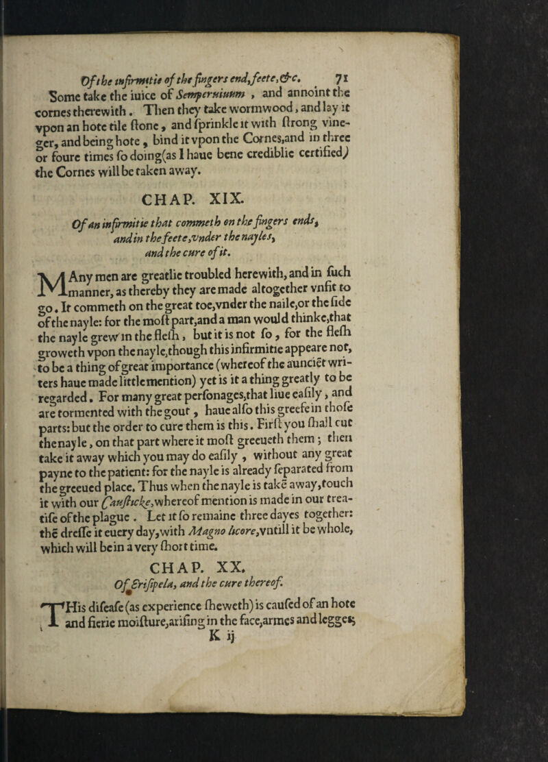 Some take the iuice of Sewferttiuttm > and annointthe cornes therewith. Then they take wormwood, and lay it vpon an hotc tile Clone, and fprinkle it with Prong vine- o*cr, and being hote , bind it vpon the Cornes,and in three or fourc times fo doing(as 1 haue bene crediblic certified; the Cornes will be taken away. CHAP. XIX Of an infirmitte that commeth on the fingers endst and in thefeete3vnder thenajlesy and the carc of it. X A Any men are greatlie troubled herewith, and in fuch IVlmanncr, as thereby they are made altogether vnfit to o-Q # It commeth on the great toe,vnder the nailc,or the fide of the nayle: for the moft part,and a man would thinkcjthat the nayle grew^in the flelh, but it is not Co, for the flelh groweth vpon the nayle,though this infirmitie appeare not, to be a thing of great importance (whereof the aunciet wri¬ ters haue made little mention) yet is it a thing greatly to be regarded • For many great per(bnagcs,that liue eafily, and are tormented with the gout, haue alfo this greefe in thofe parts: but the order to cure them is this. Firfi you fiia'l cut the nay le, on that part where it mofl greeueth them*, then take it away which you may do eafily , without any great paync to the patient: for the nayle is already feparated from thegreeued place. Thus when the nayle is take away,touch it wtth our whereof mention is made in our trea- tife of the plague . Let it fo remainc three dayes together: the dreffc it euery day,with Magno hcore3\wtill it be whole, which will be in a very fhort time. CHAP. XX* Of Srifipe/a, and the care thereof THis difeafe (as experience fheweth) is caufed of an hotc and ficrie moifture,arifingin the face,armes and legged 1 K ij