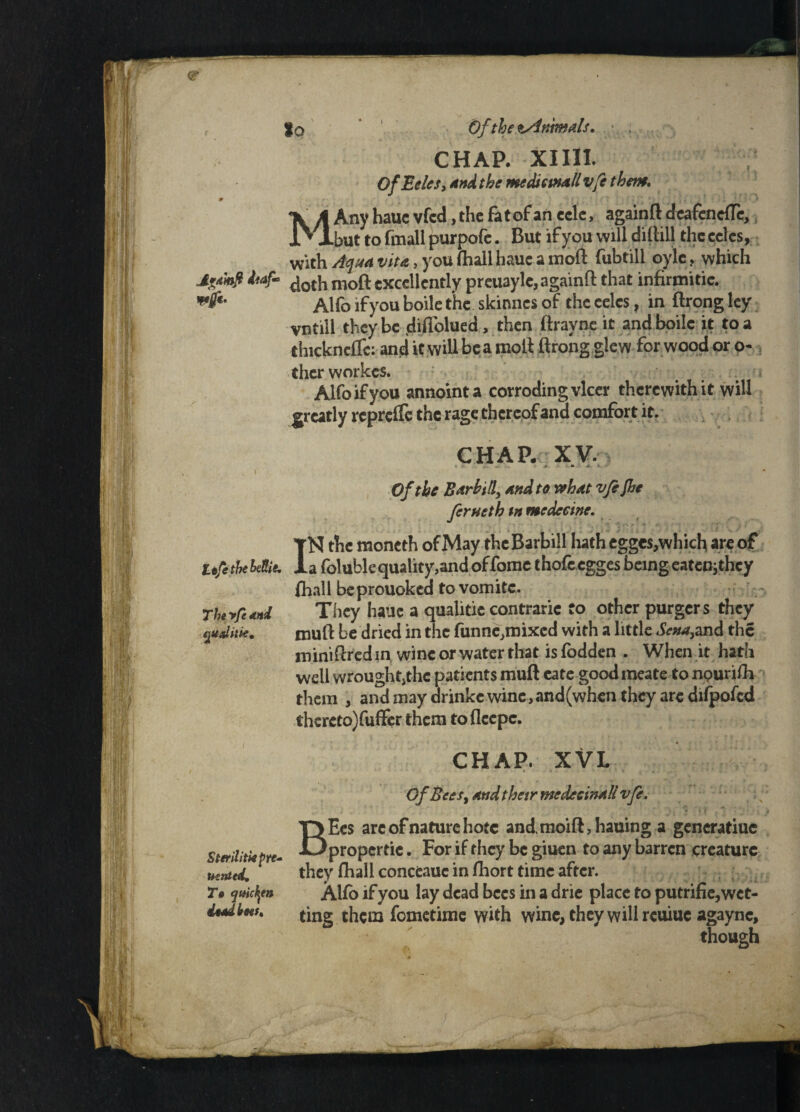 Jdytwfl deaf* vf*- Itfcthebeftie, Theyfe and qualitie. SterilitMpre' tented* To quicken doadkoet. So Of the tAnrnals. • , CHAP. XIIIL OfEeles, and the medicmall vfe them. % A Any hauc vfcd, the fa t of an celc, againft dcafencflc, IVlbuttofmallpurpofc. ButxFyouwilldiitillthceclcs, with Aqua vita > you (hall haue a moft fubtill oylc , which doth moft excellently preuayle, againft that infirnaitie. Alfo ifyou boile the skinnes of thceelcs, in ftrongley vntill they be diflblued, then ftrayne it and boile it to a thickncflc: and it will be a moft ftrong glew for wood or o- ther workes. Alfo ifyou annointa corroding vlcer therewith it will greatly repreife the rage thereof and comfort it. CHAP. XV. ... <• * ■ ... • Of the Barbilly and to what vfijhe fortieth tn mcdecine. YN the moneth of May rhcBarbill hath egges,which are of la foluble quality,and of fome thofeegges being eatenjthcy fhall beprouoked to vomitc. They hauc a qualitic contraric to other purgers they rouft be dried in the funne^ixed with a little Sen*,and the miniftred m wine or water that is fodden . When it hath well wrought,the patients muft cate goodraeate to nourish them , and may drinke wine, and(whcn they are difpofcd thereto) fuffer them toflccpc. CHAP. XVL Of Bee Sy andthetr medecinall vfe. ' * _ ) • ‘ . ‘ ■ \ ‘ * \ . ' ** ’it n * ‘ BEcs arc of nature hotc and.moift,hauing a generatiuc propcrtic. For if they be giuen to any barren creature they fhall conceauc in fhort time after. Alfo if you lay dead bees in a drie place to putrifie, wet¬ ting them fometime with wine, they will reuiuc agaync, though